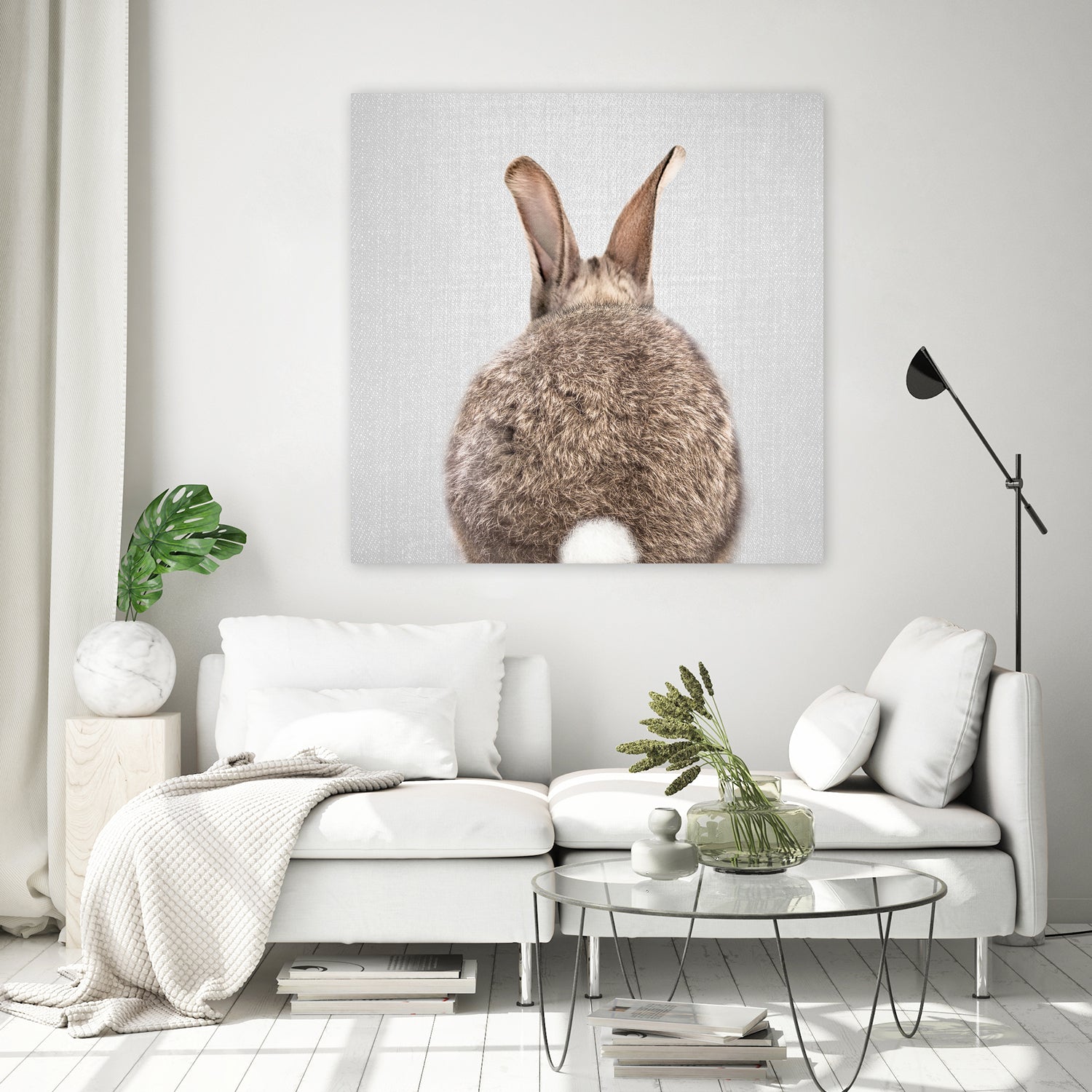 Rabbit Tail - Colorful by Gal Pittel on GIANT ART - brown photo illustration