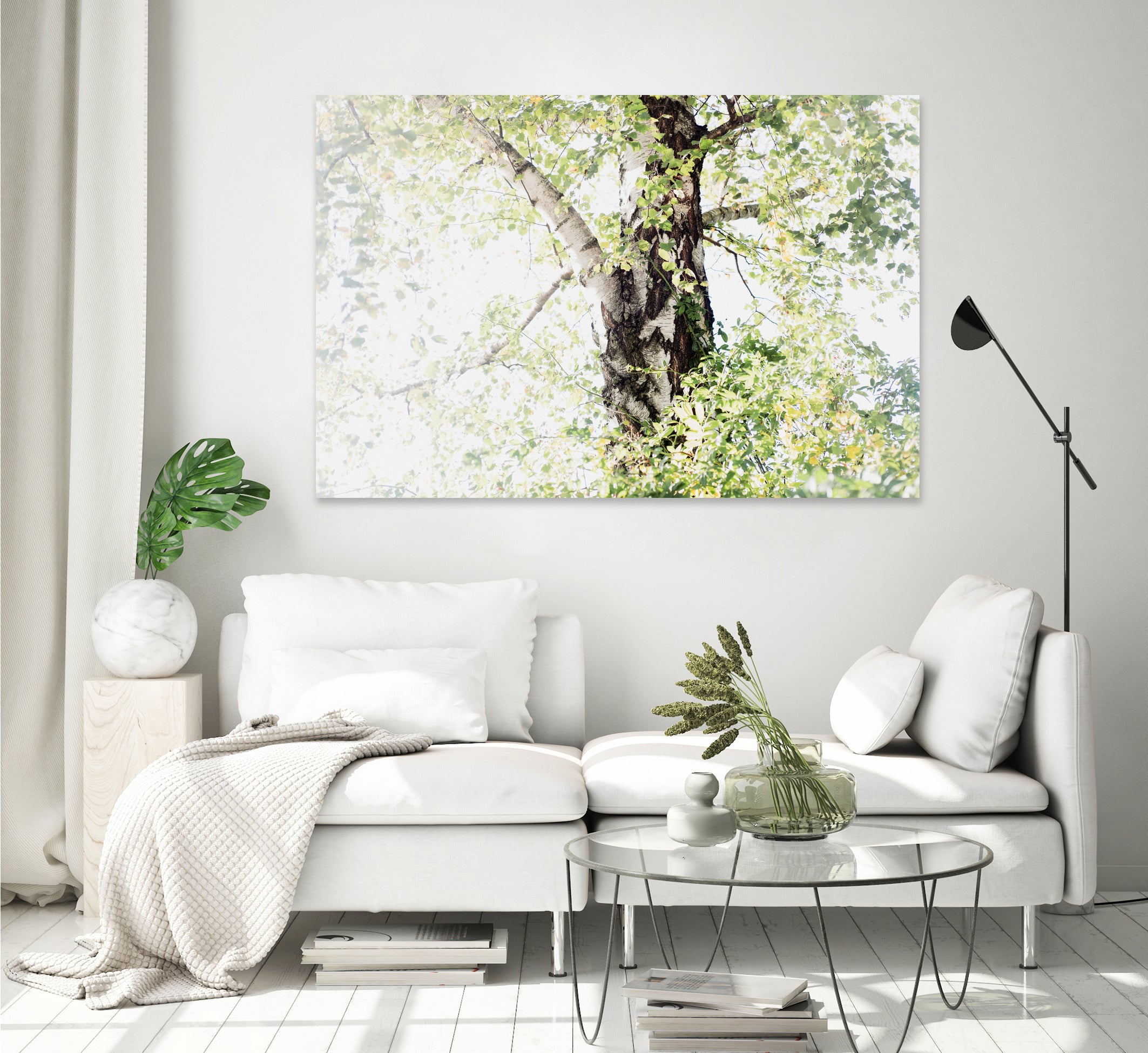 Dreamy Birch Tree 1 by Anitas Bellas Art on GIANT ART - coastal