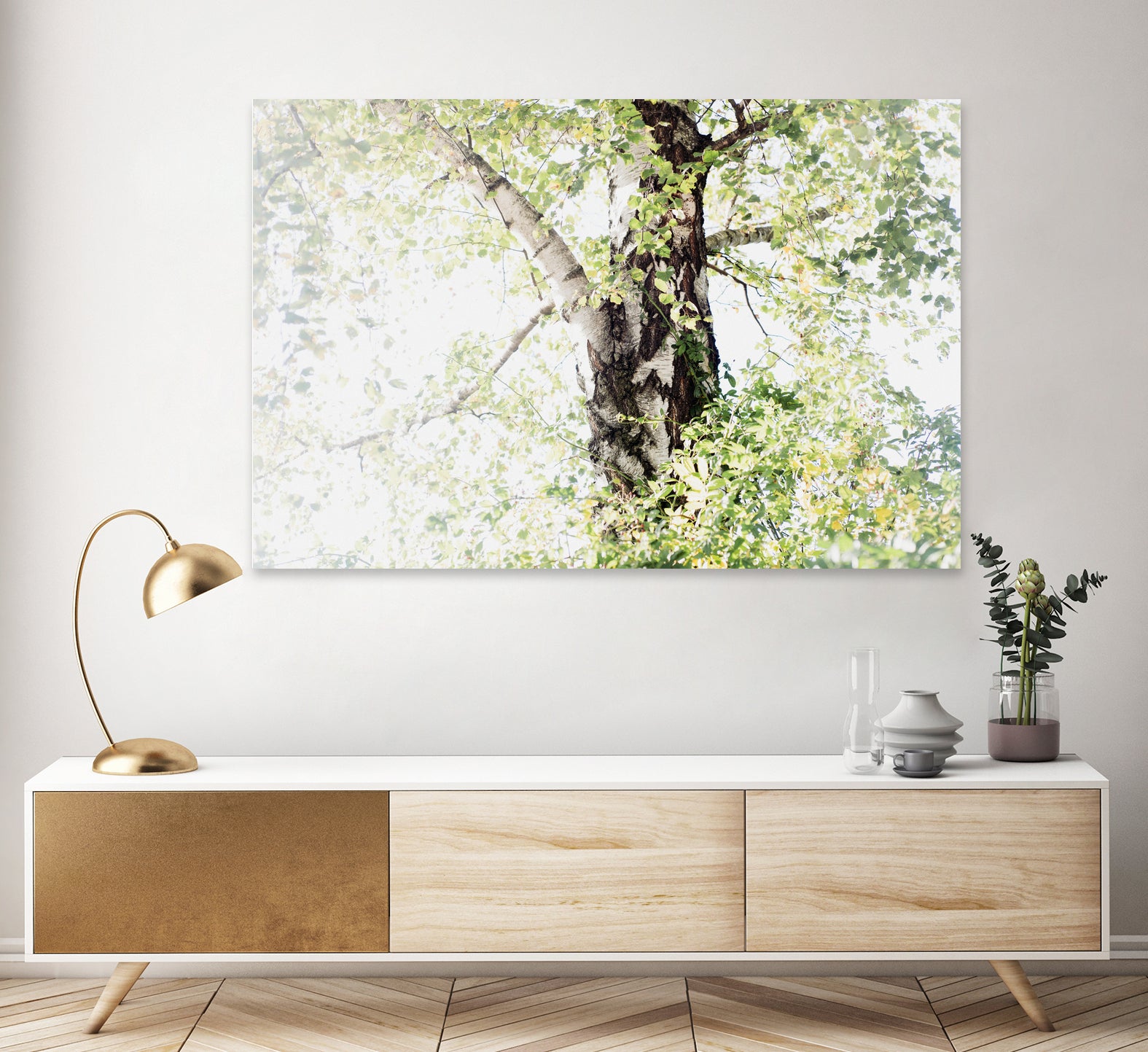 Dreamy Birch Tree 1 by Anitas Bellas Art on GIANT ART - coastal