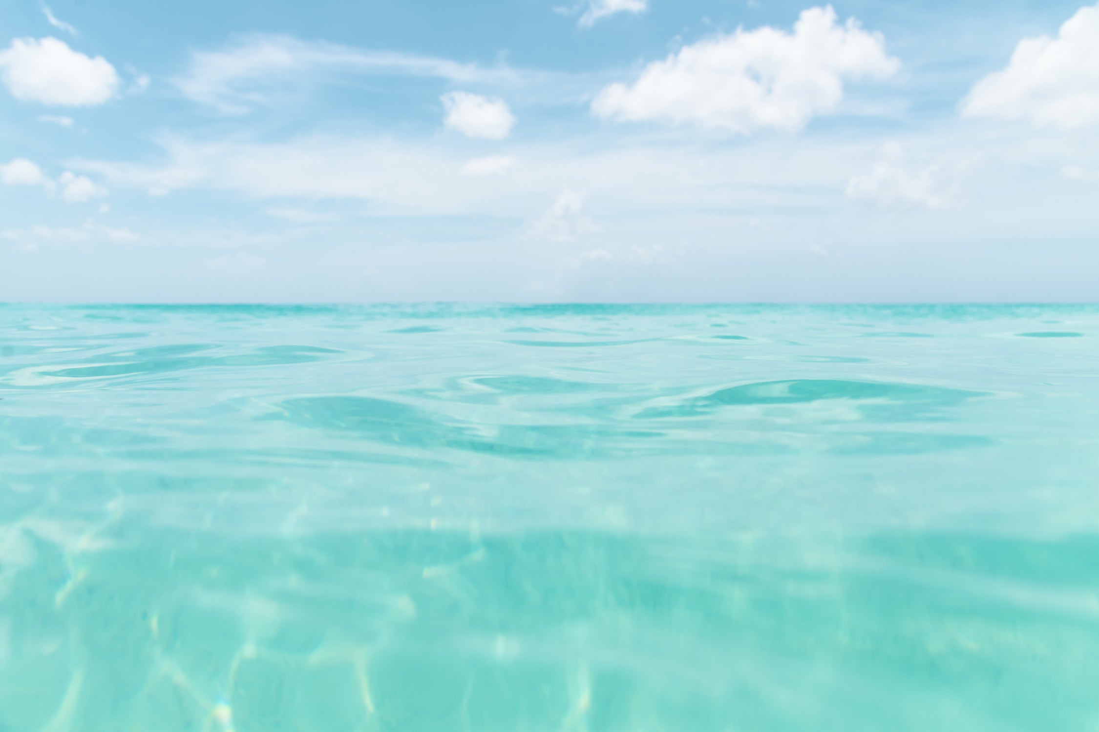 Dive into the Caribbean Sea 2 by AnitasBellasArt on GIANT ART - blue coastal