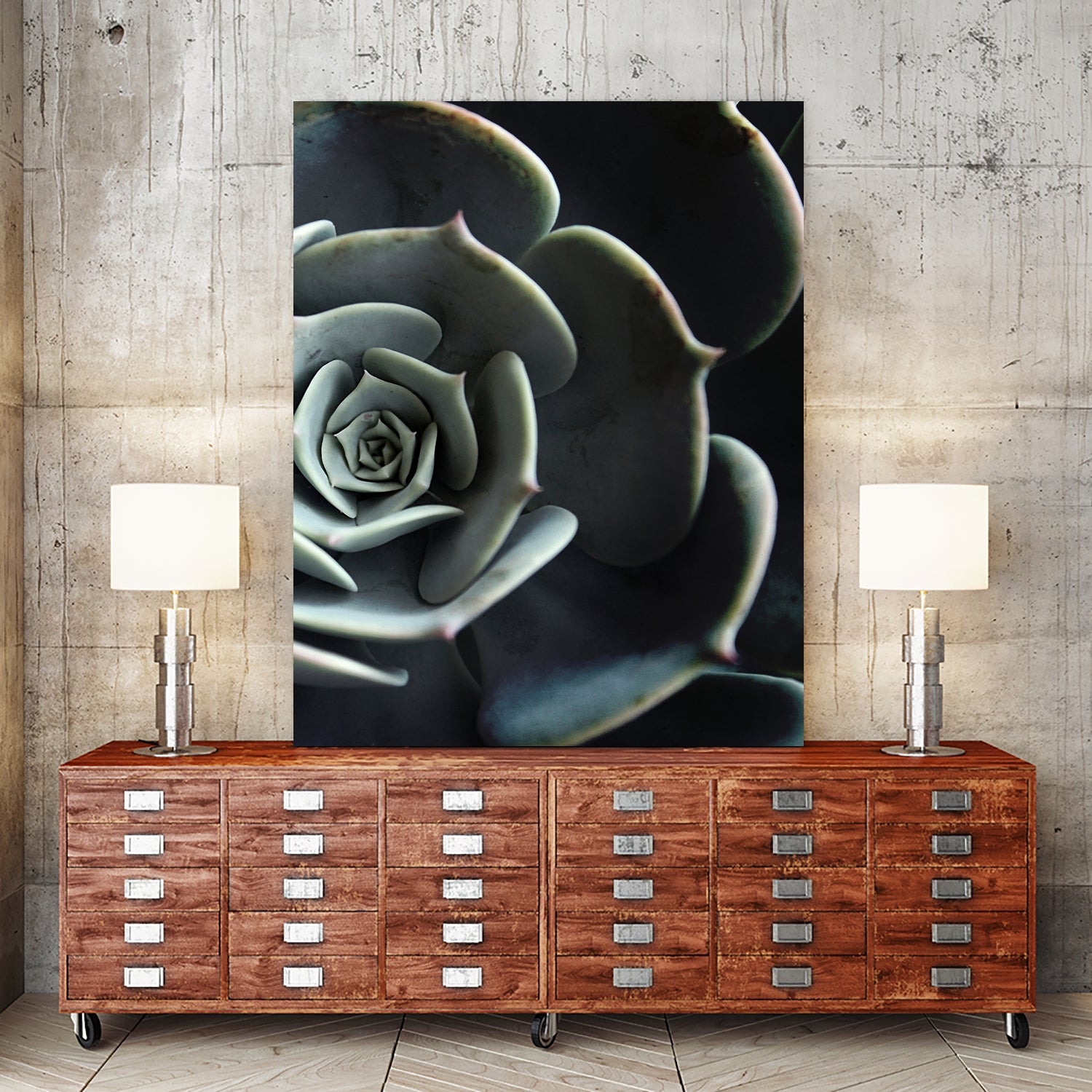 DARKSIDE OF SUCCULENTS XVI-B by Pia Schneider on GIANT ART - black photo manipulation