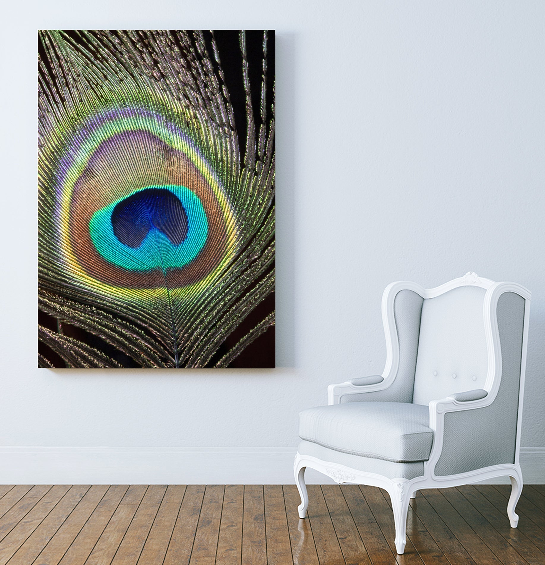 peacock feather close up macro by Wiguna Asmorohadi on GIANT ART - black vector illustration