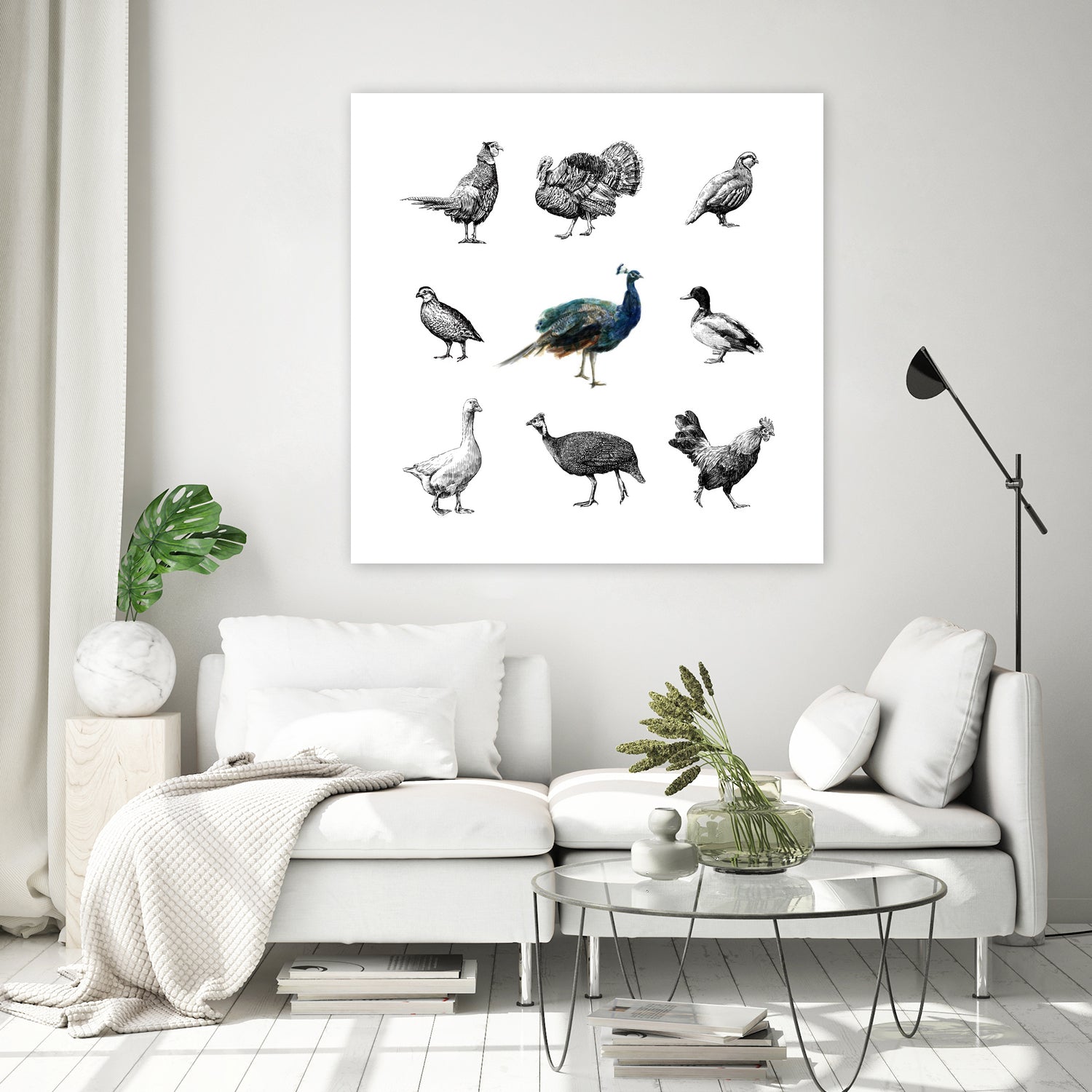 Bird Farm by Martina Dirce Carcano on GIANT ART - white digital painting