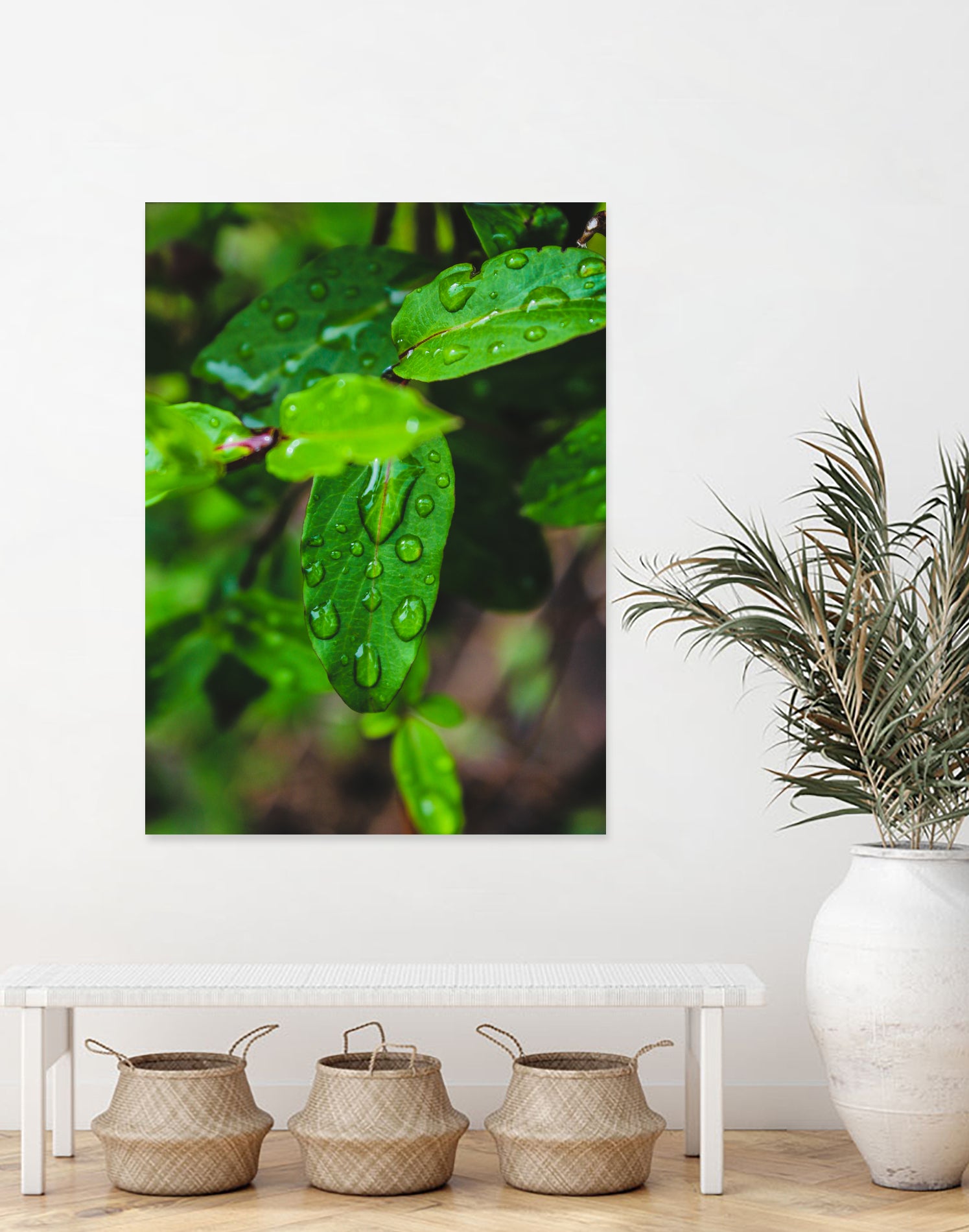 The Garden: After Rain by Brandon Greer on GIANT ART - green photo manipulation