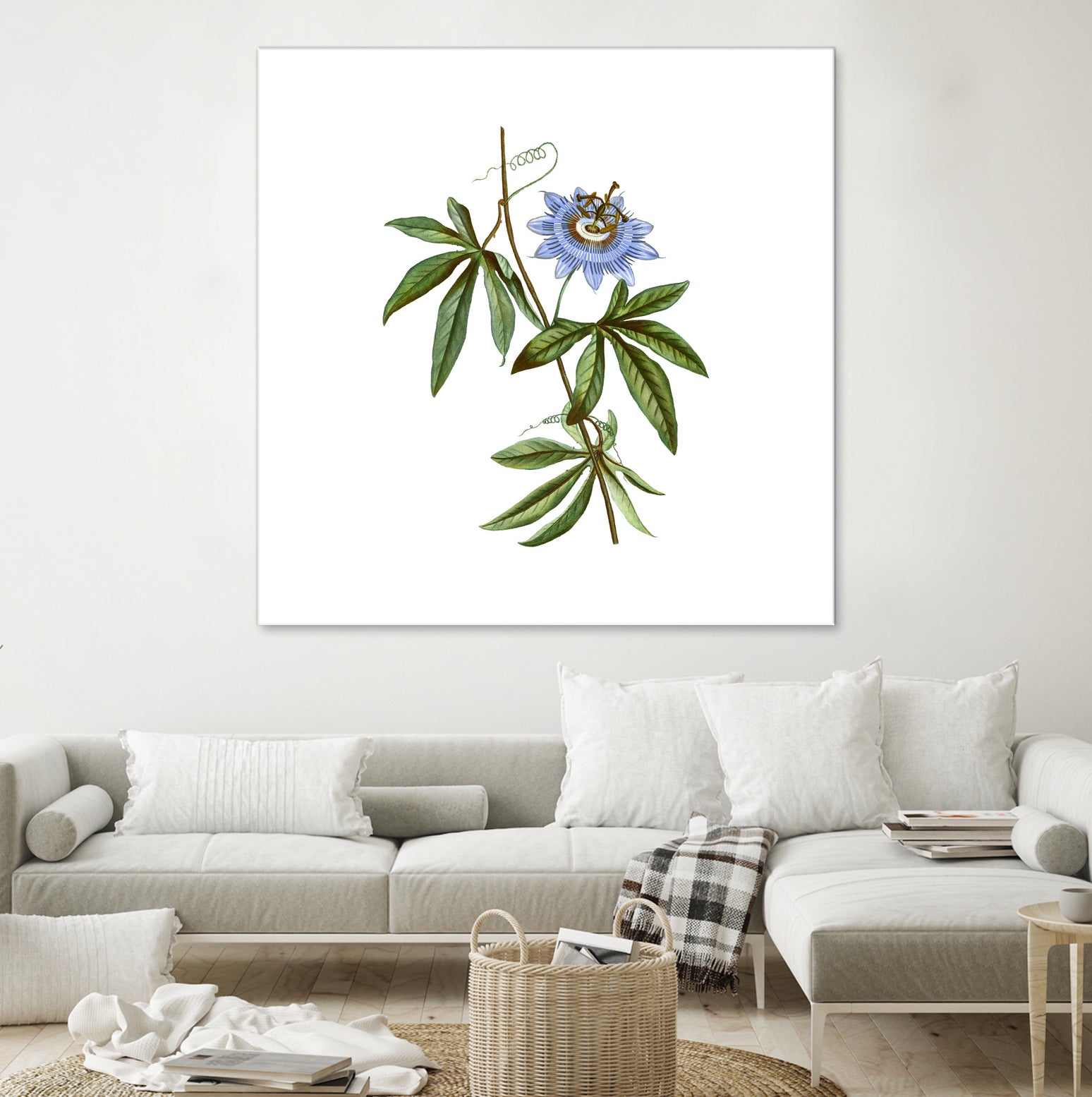 Vintage Blue Passionflower Botanical Illustration by Raul Andre Petrasanta on GIANT ART - blue mixed media