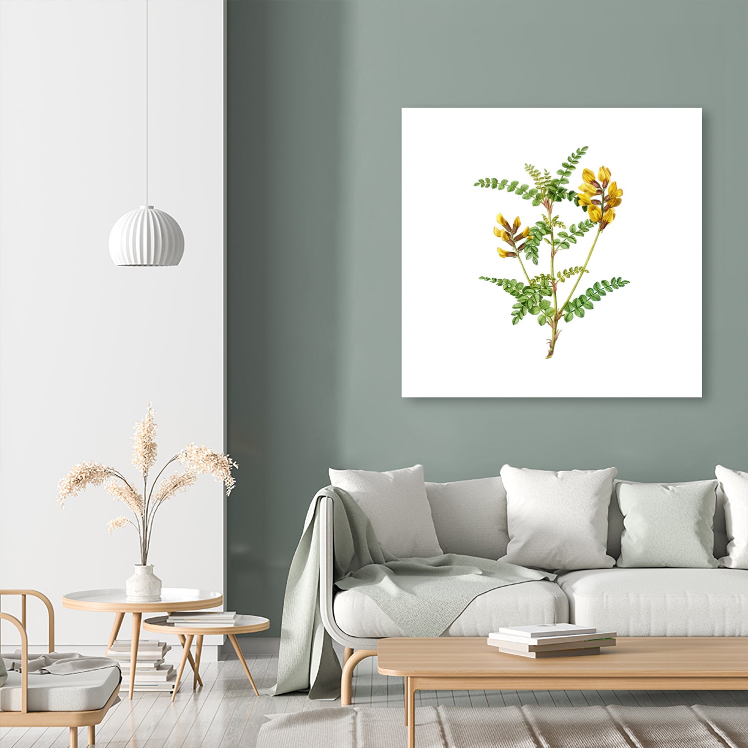 Vintage Calophaca Wolgarica Botanical Illustration by Raul Andre Petrasanta on GIANT ART - yellow mixed media