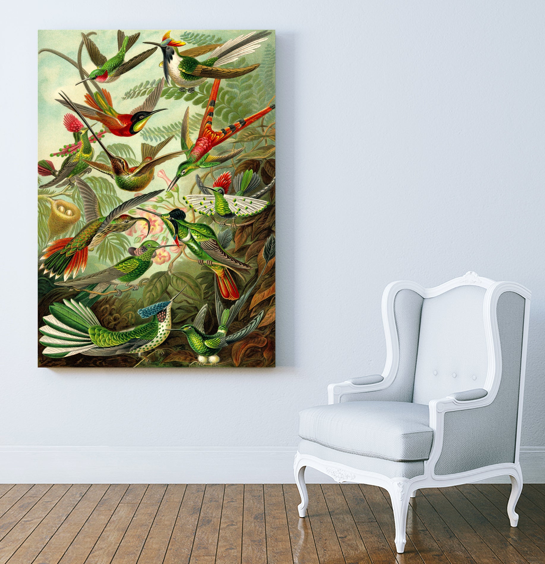 Colibri - Ernst Haeckel by Andrea Almering on GIANT ART - black digital painting