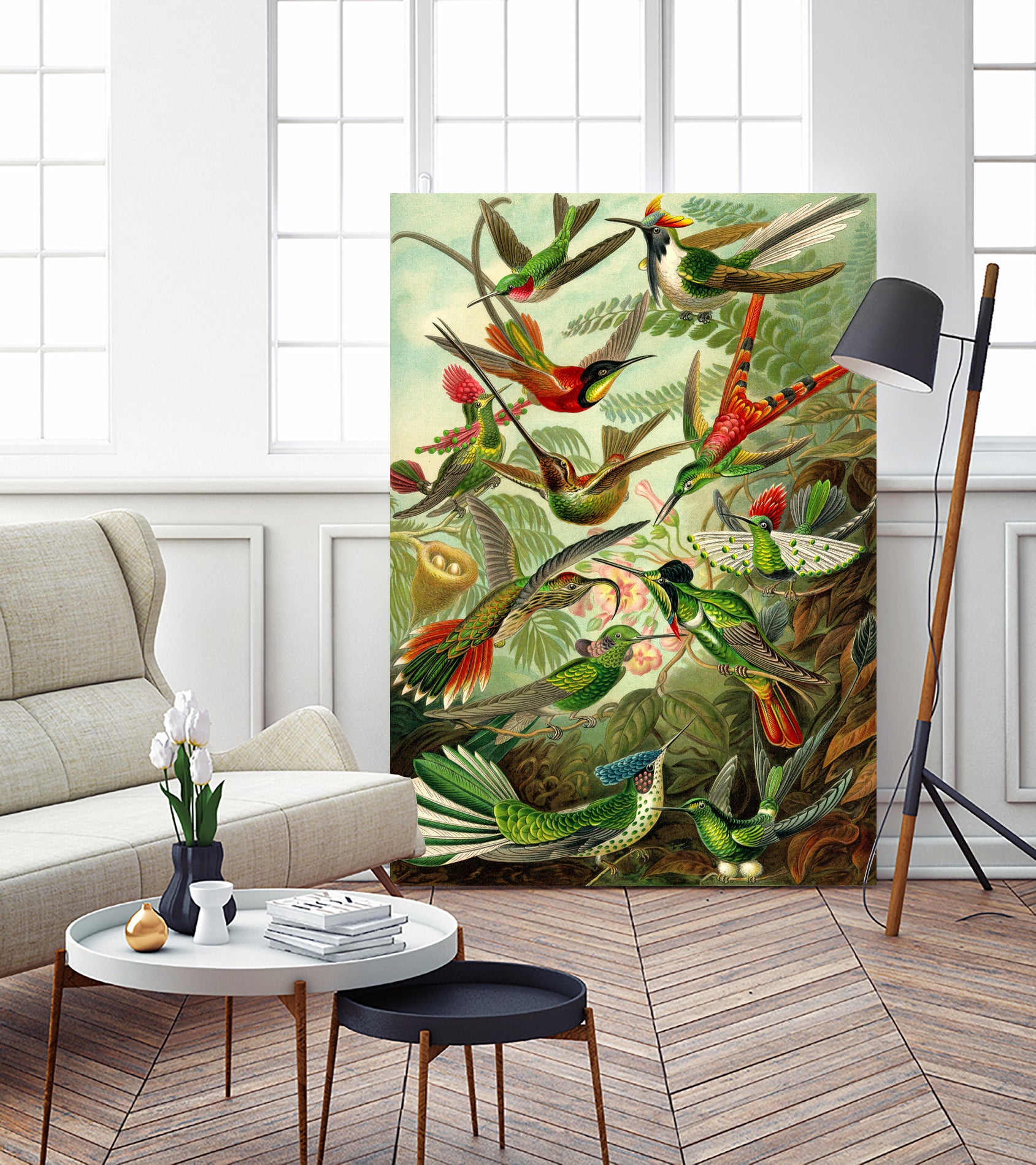 Colibri - Ernst Haeckel by Andrea Almering on GIANT ART - black digital painting