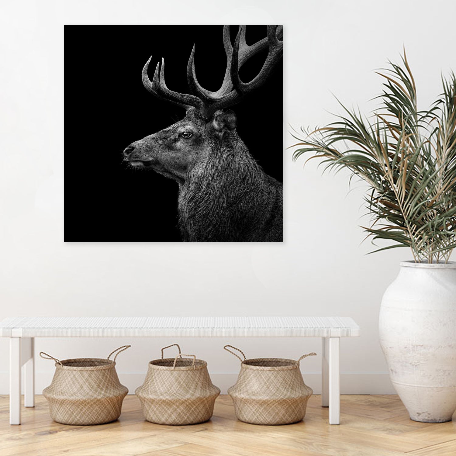 Deer In Black And White by Lukas Holas on GIANT ART - black photo manipulation