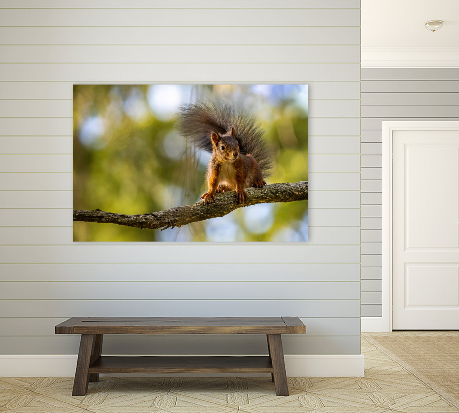 Ecureuil by NICOLAS GROFFAL on GIANT ART - brown photo illustration