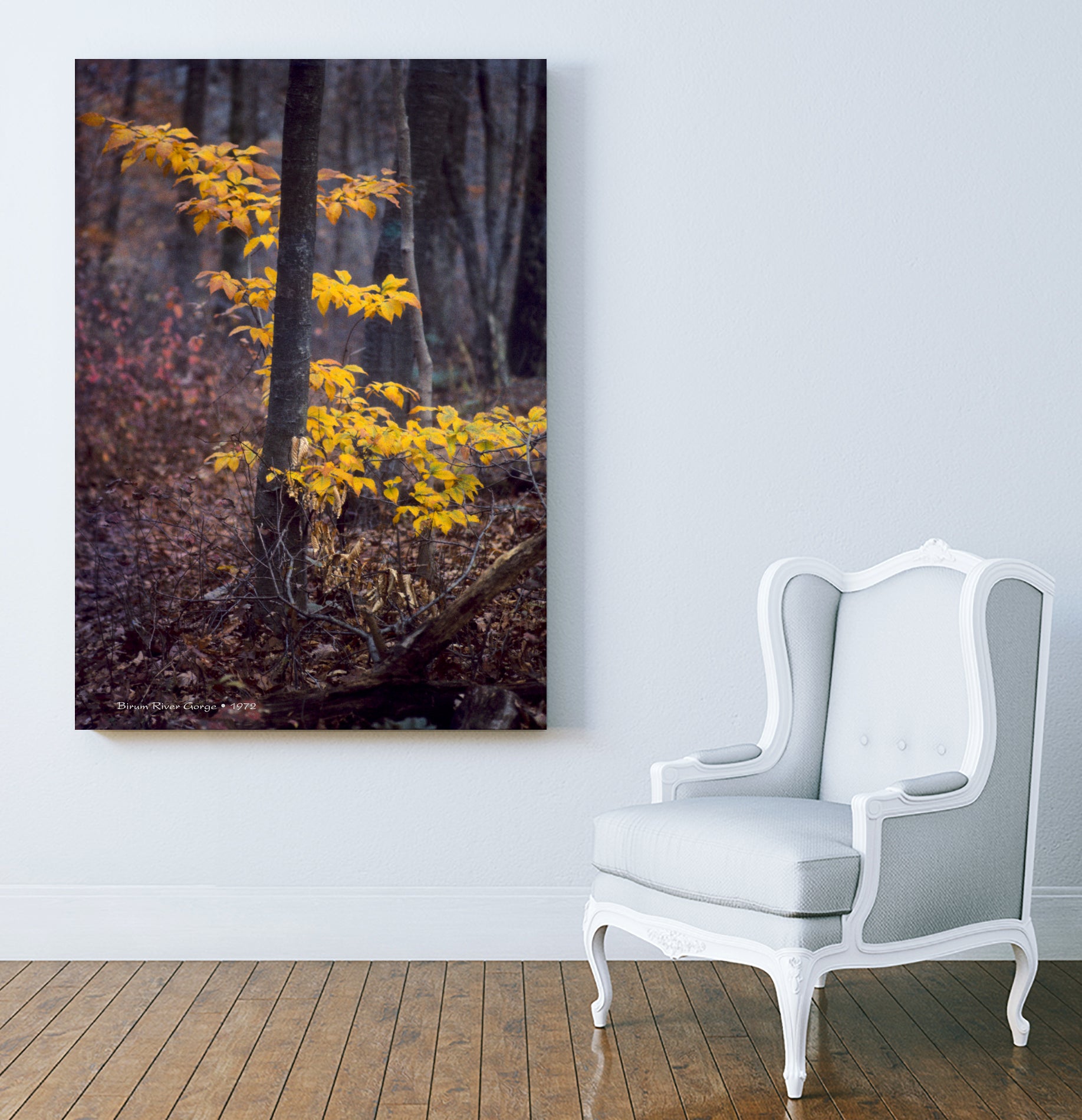 Birum River Gorge by Tim Loomis on GIANT ART - brown photo illustration