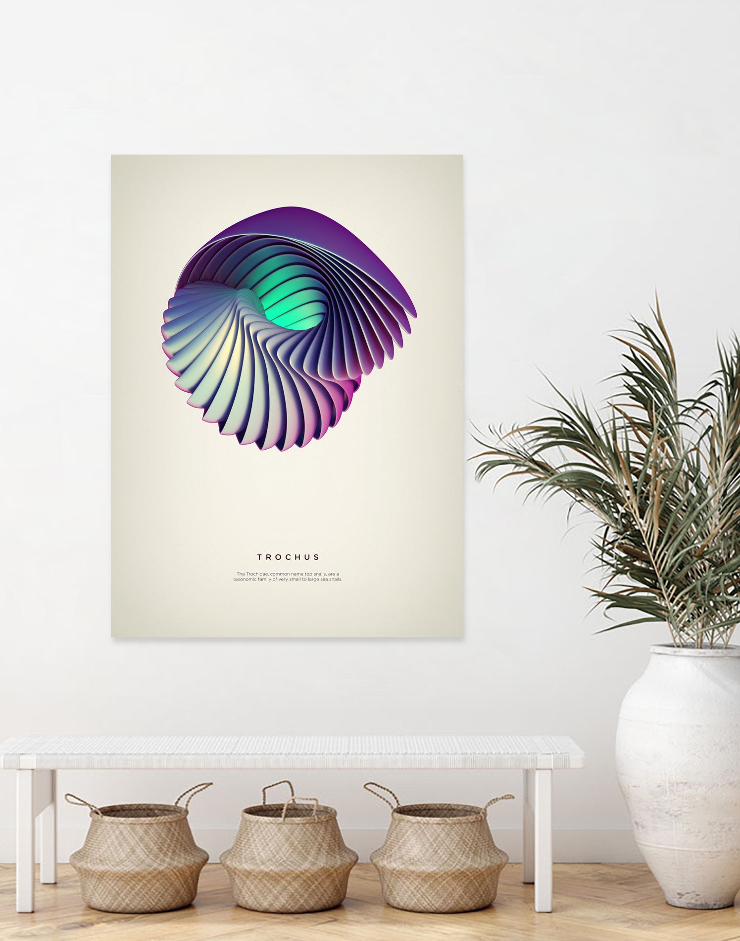 Trochus by Crtomir Just on GIANT ART - 3d art