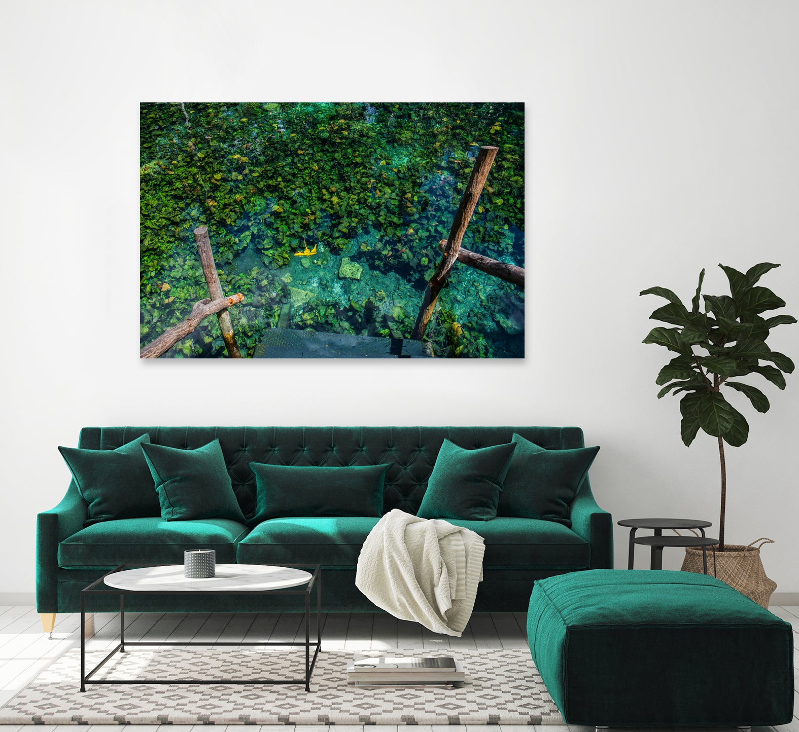 Cenote, Quintana Roo. Mexico by Maricela Castellanos on GIANT ART - green photo illustration