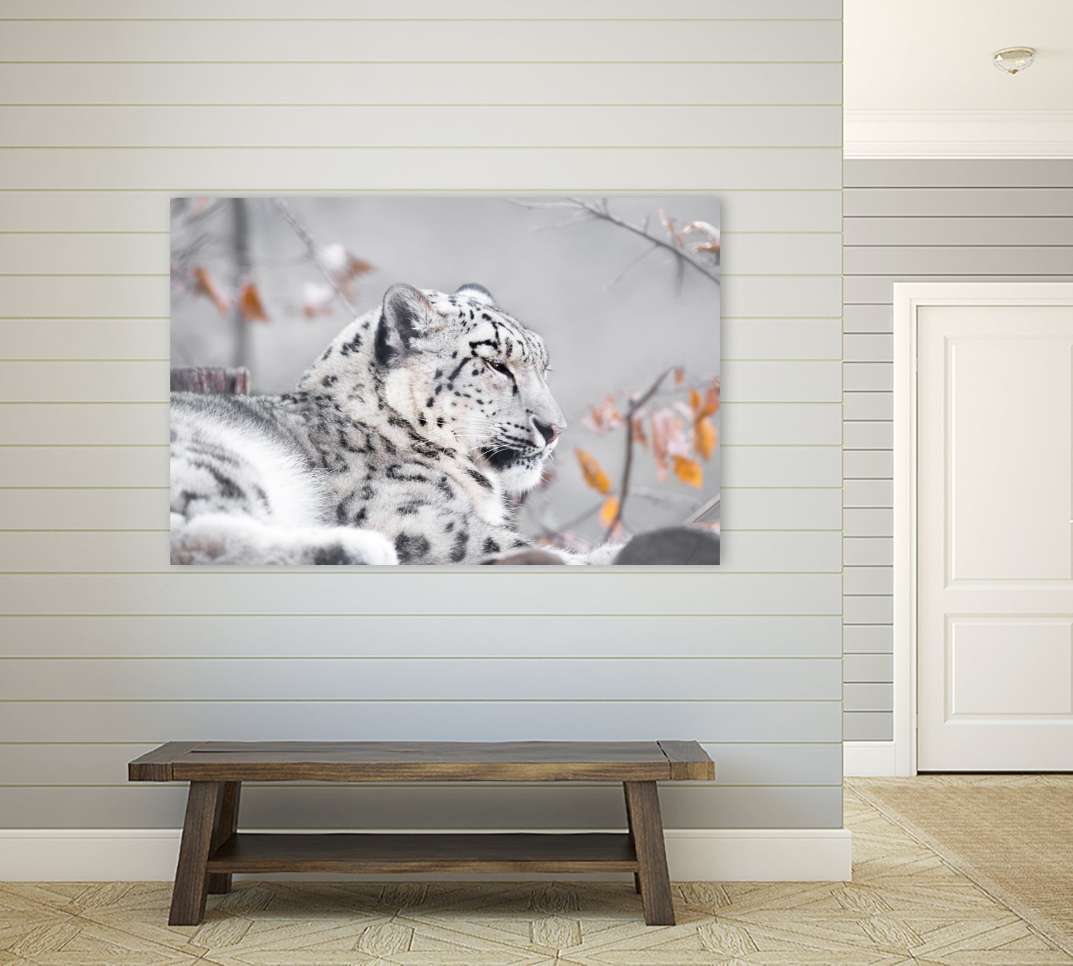 Snow leopard by Sarah Arthur on GIANT ART - gray photo illustration