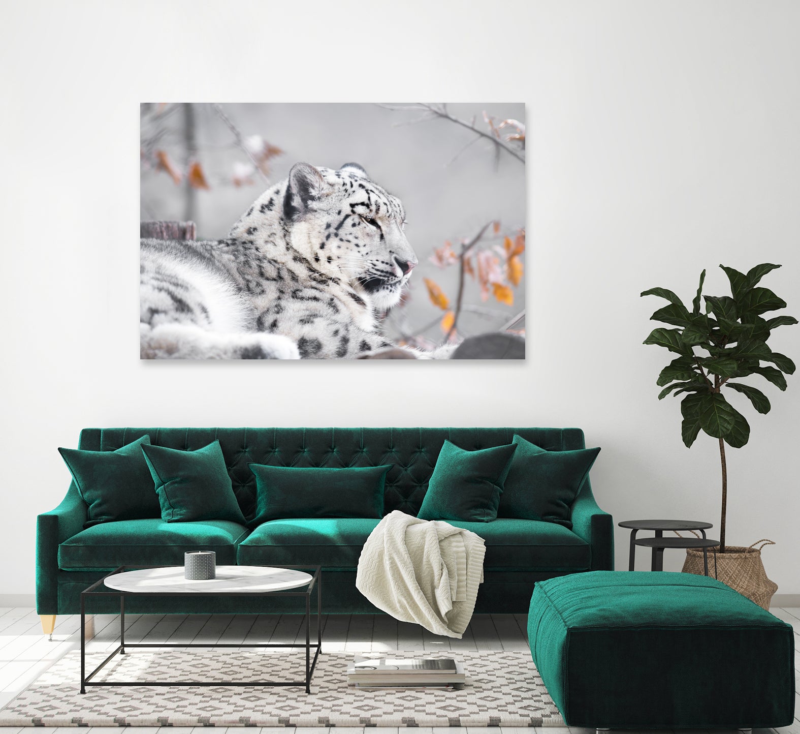 Snow leopard by Sarah Arthur on GIANT ART - gray photo illustration