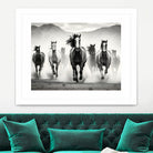 Run by M Studio on GIANT ART - white black and white  horse