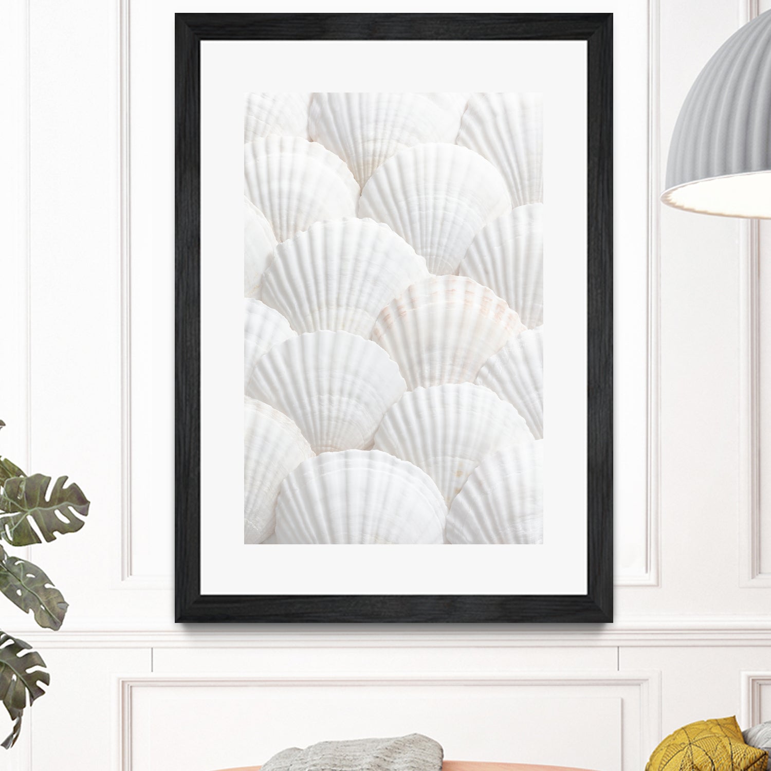 Shells_3 by Pictufy Studio III on GIANT ART - photography shells