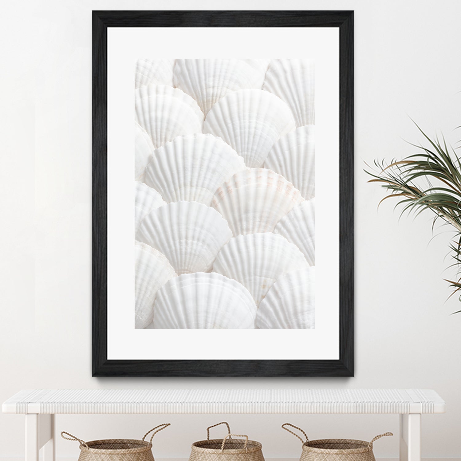 Shells_3 by Pictufy Studio III on GIANT ART - photography shells