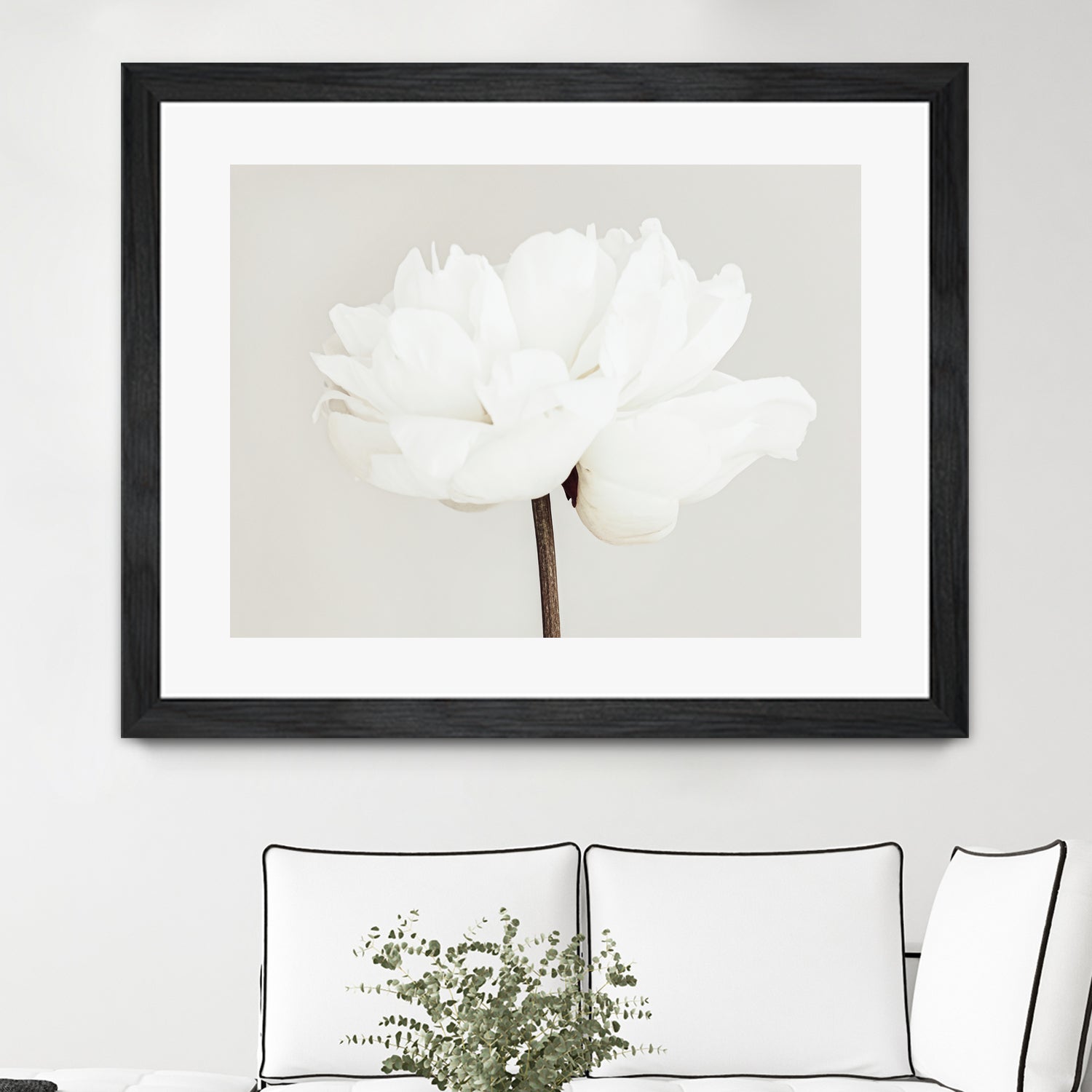 Peony 11 by Pictufy Studio III on GIANT ART - photography flower