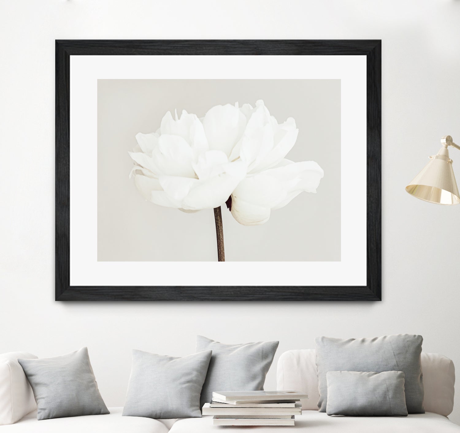 Peony 11 by Pictufy Studio III on GIANT ART - photography flower