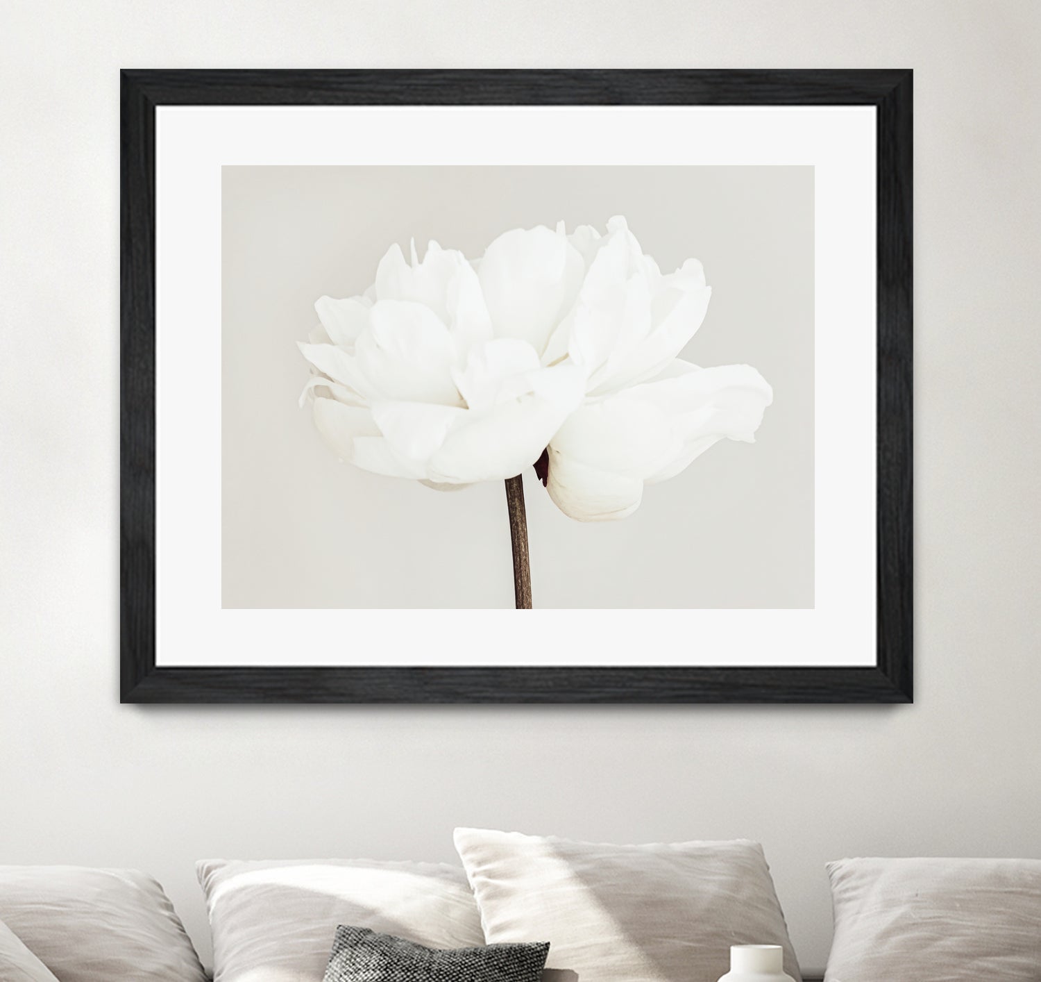Peony 11 by Pictufy Studio III on GIANT ART - photography flower