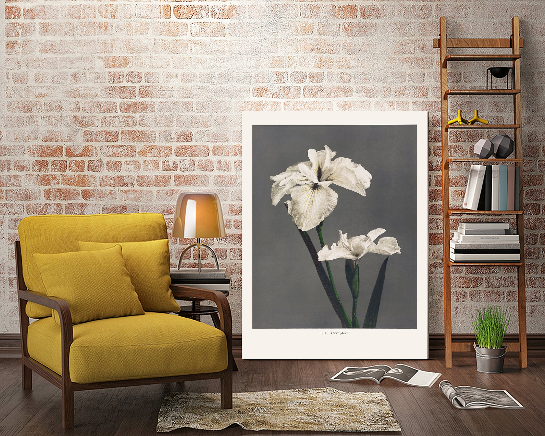 Iris KAbmpferi by Pictufy on GIANT ART -