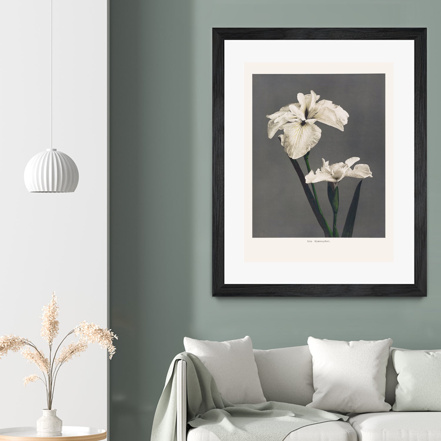 Iris KAbmpferi by Pictufy on GIANT ART -