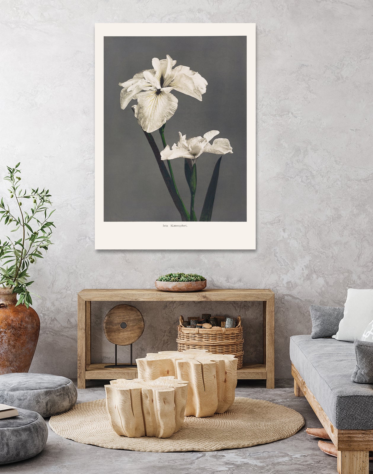 Iris KAbmpferi by Pictufy on GIANT ART -