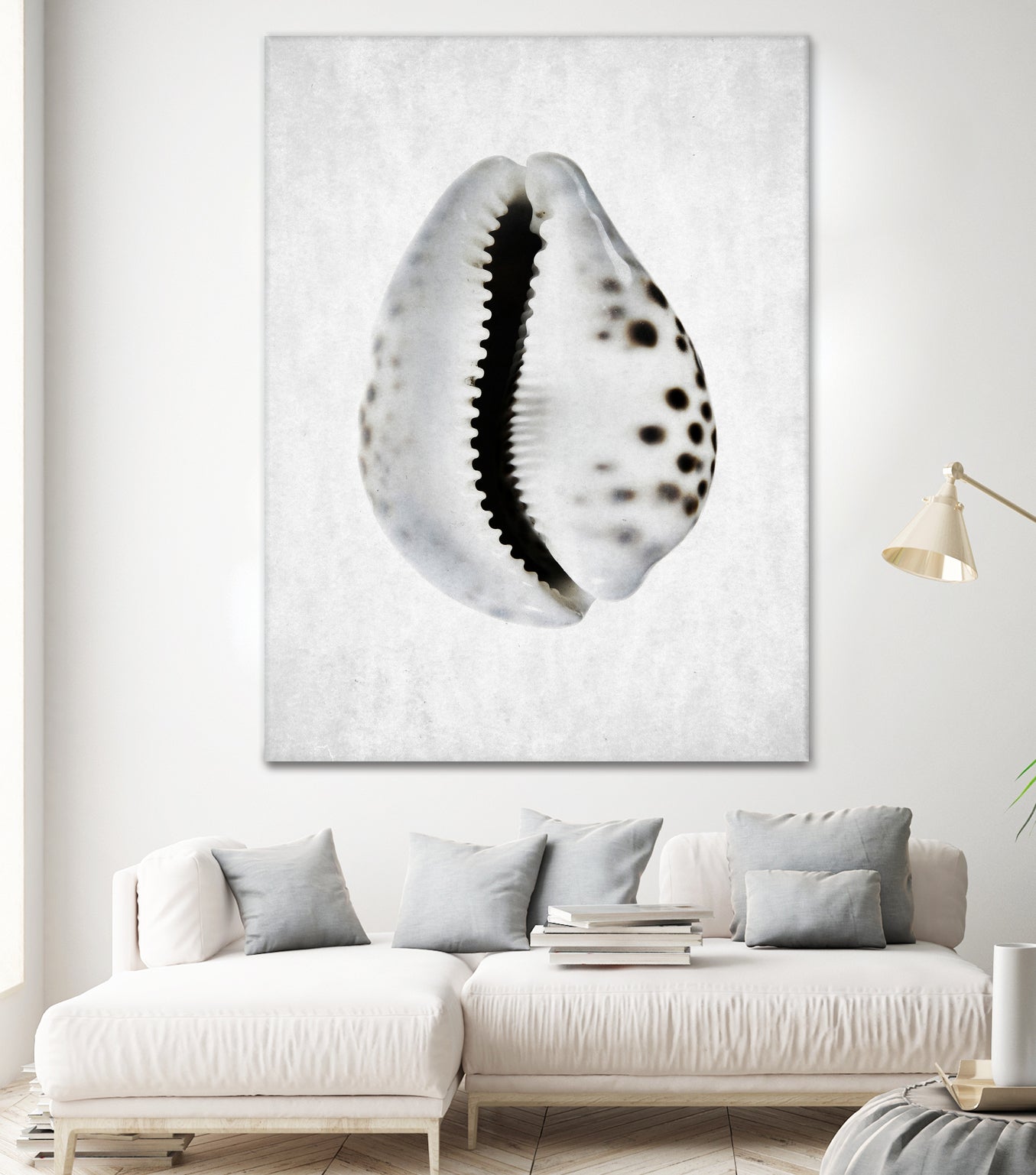 Spring Tide by Shot by Clint on GIANT ART - macro seashell art