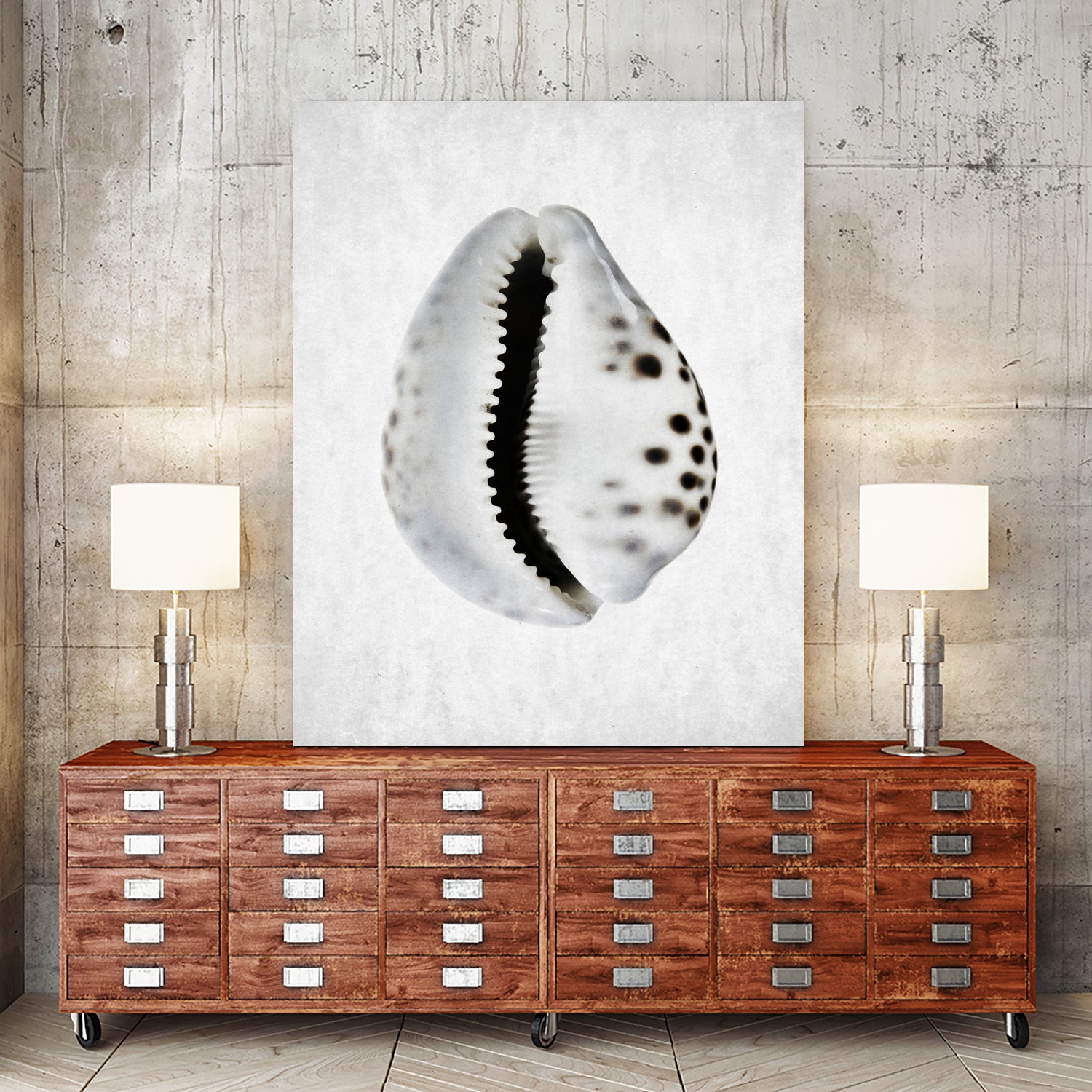 Spring Tide by Shot by Clint on GIANT ART - macro seashell art