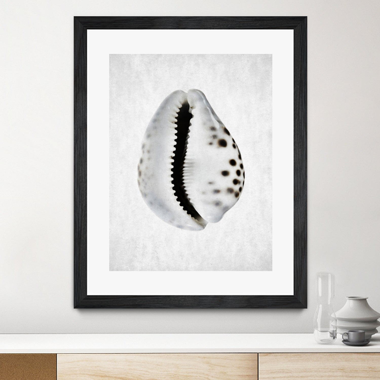 Spring Tide by Shot by Clint on GIANT ART - macro seashell art