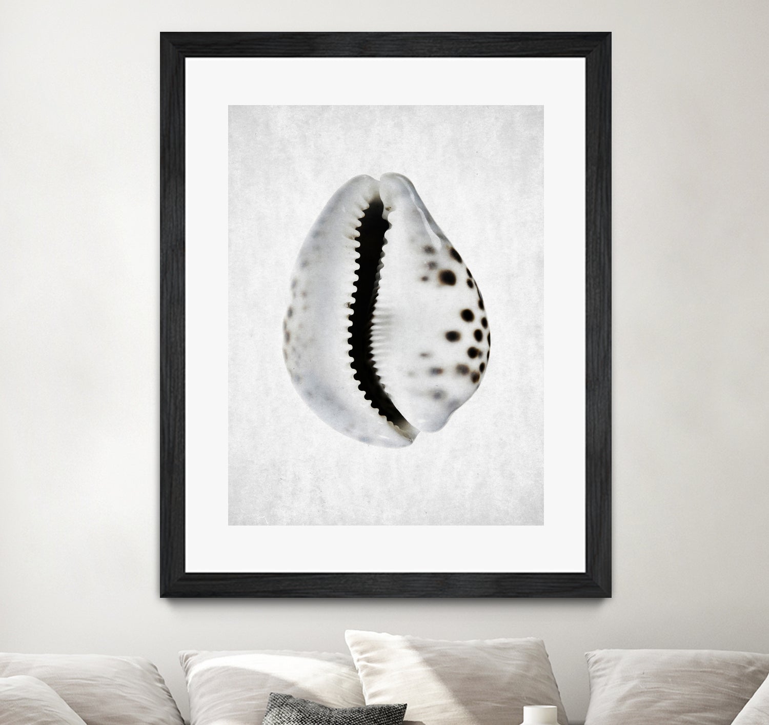 Spring Tide by Shot by Clint on GIANT ART - macro seashell art