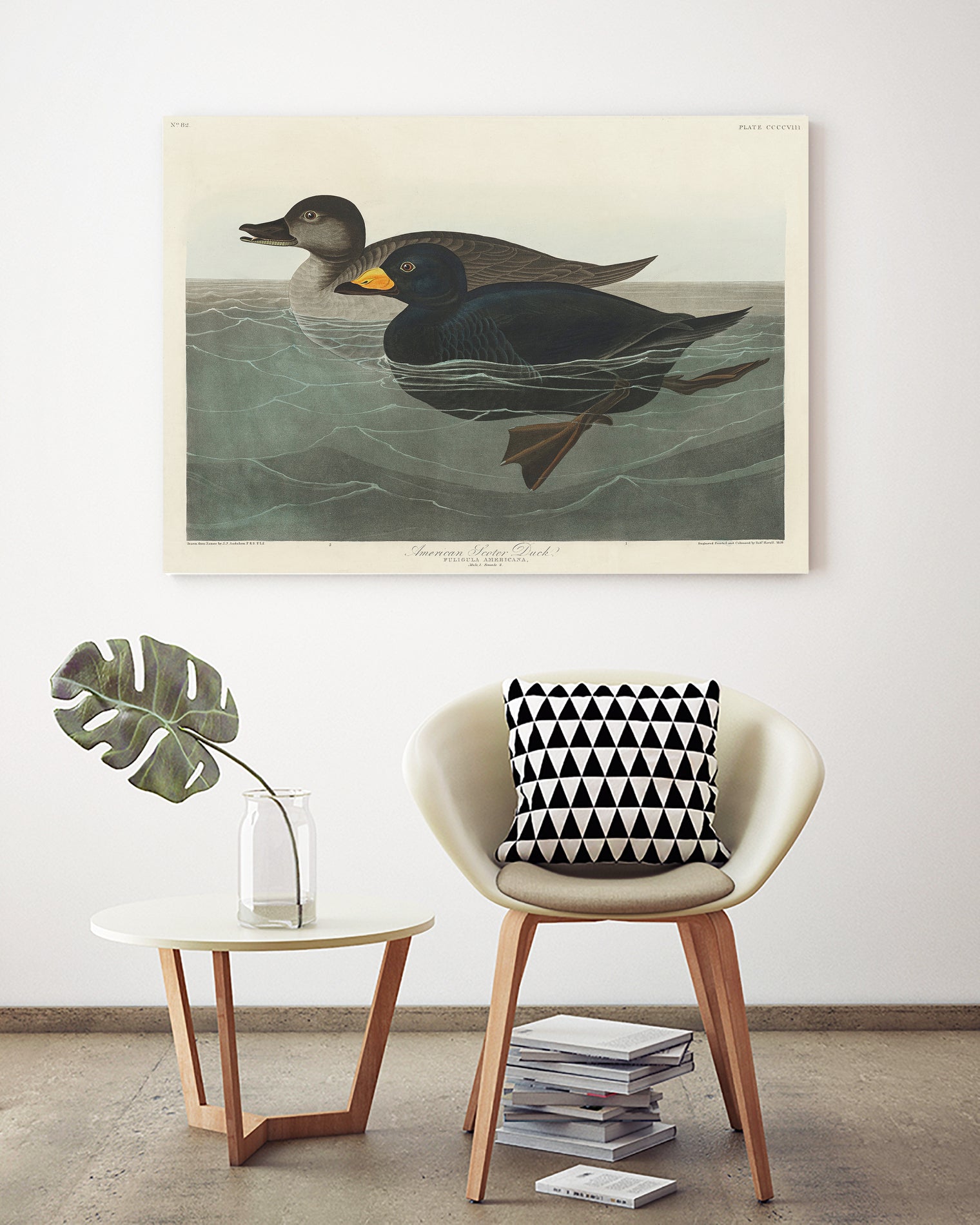 American Scoter Duck From Birds of America (1827) by John James Audubon on GIANT ART - animals john james audubon