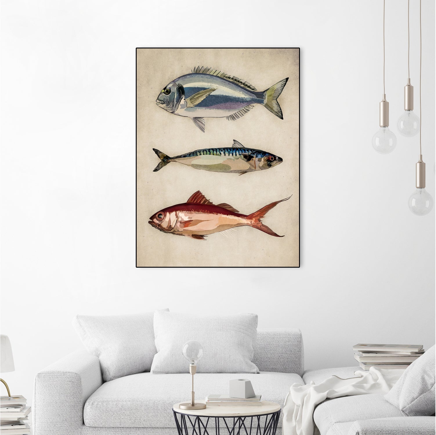 Trio of Ocean Life by Emel Tunaboylu on GIANT ART - animals vintage fish illustration