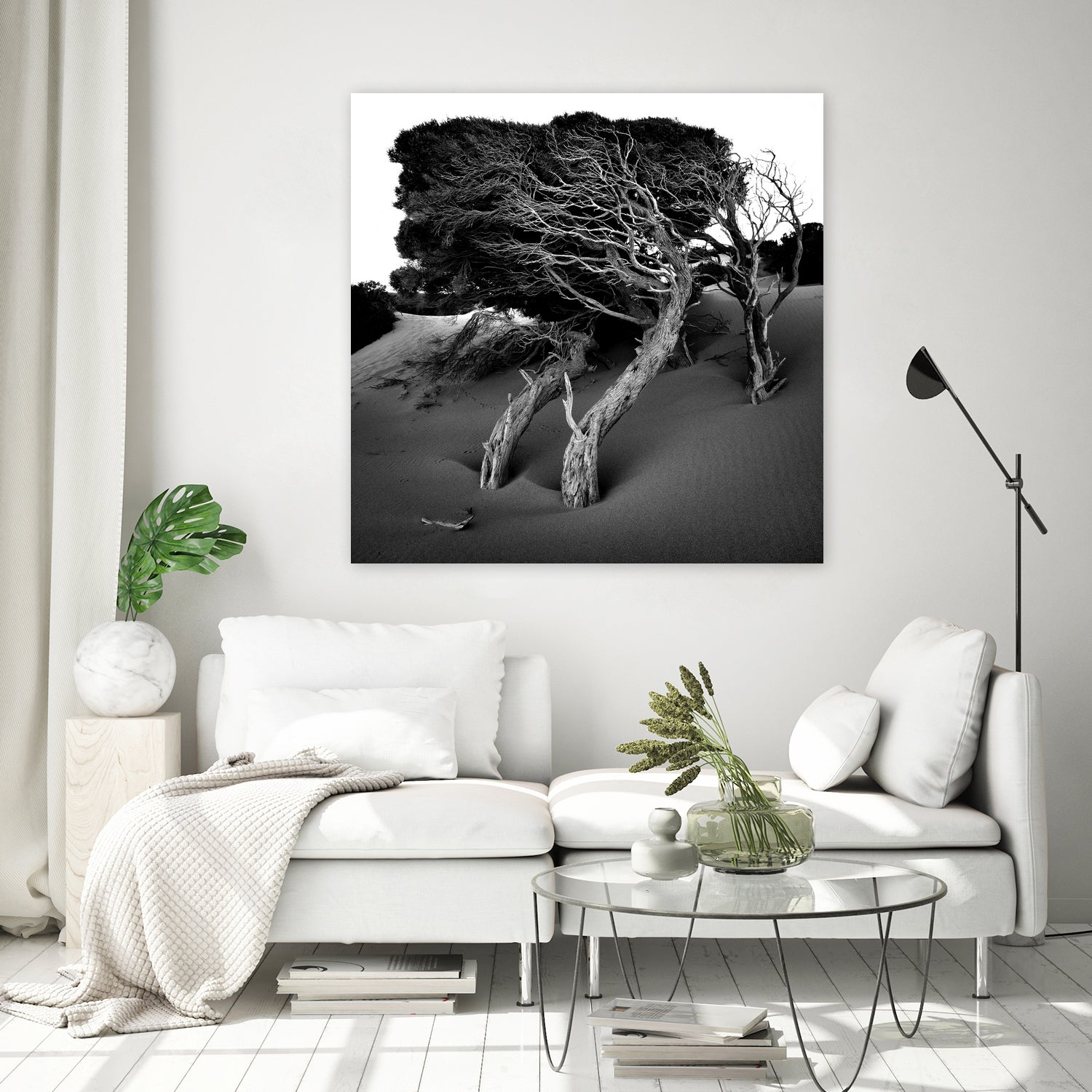 Windswept Tree by Injidup Western Australia on GIANT ART - black and white mark