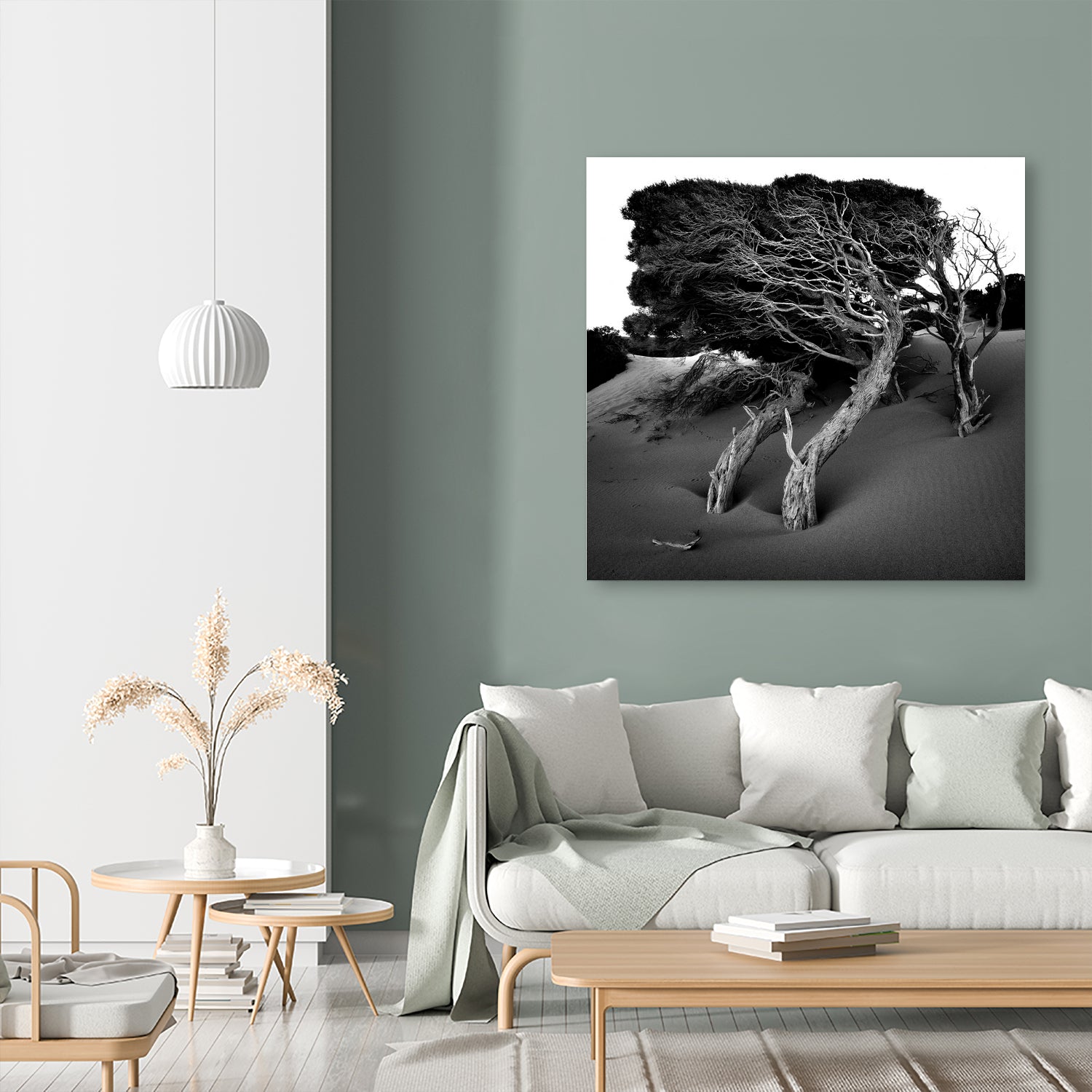 Windswept Tree by Injidup Western Australia on GIANT ART - black and white mark
