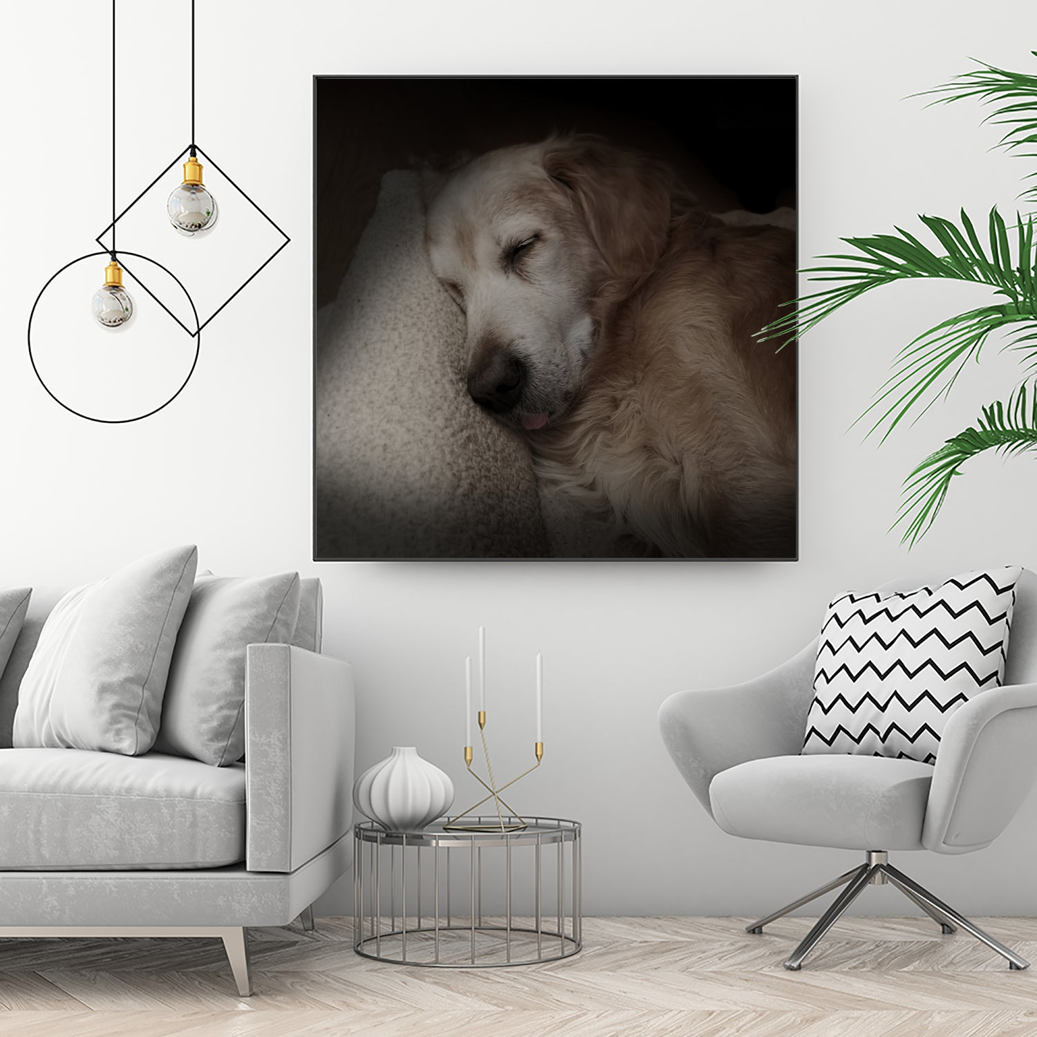 Sleeping Golden by Andreas Magnusson on GIANT ART - animals golden