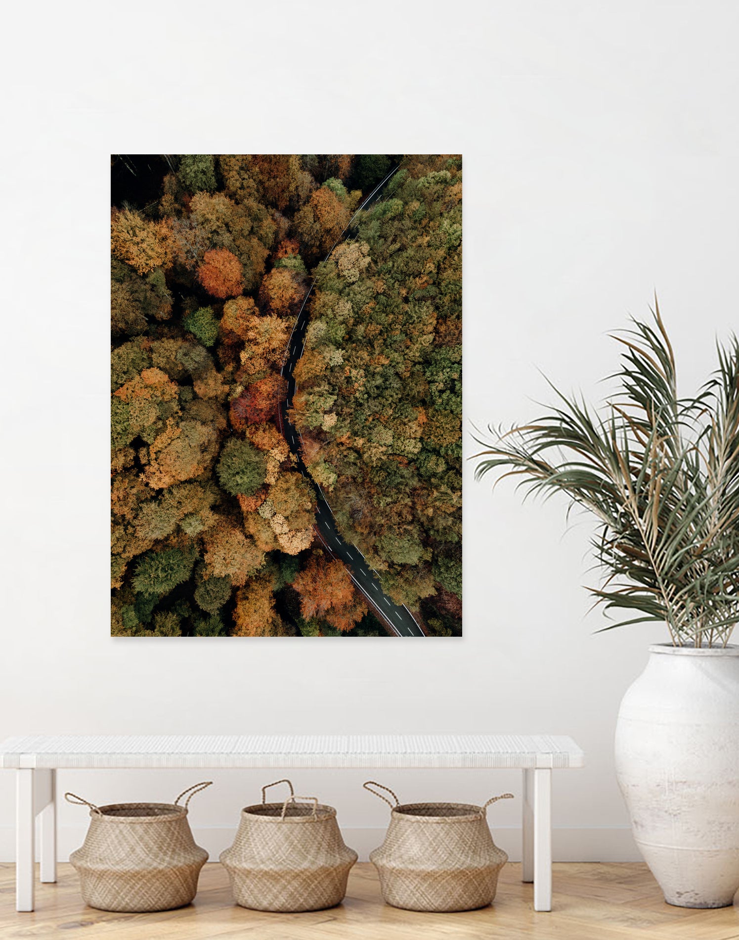 Autumn's Winding Path by Javier Pardina on GIANT ART - forest landscape forest