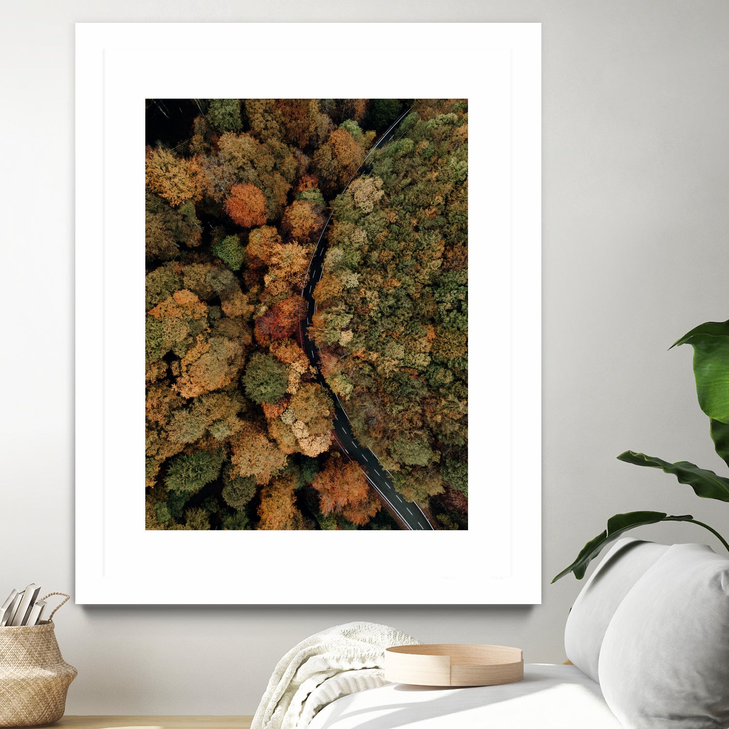 Autumn's Winding Path by Javier Pardina on GIANT ART - forest landscape forest