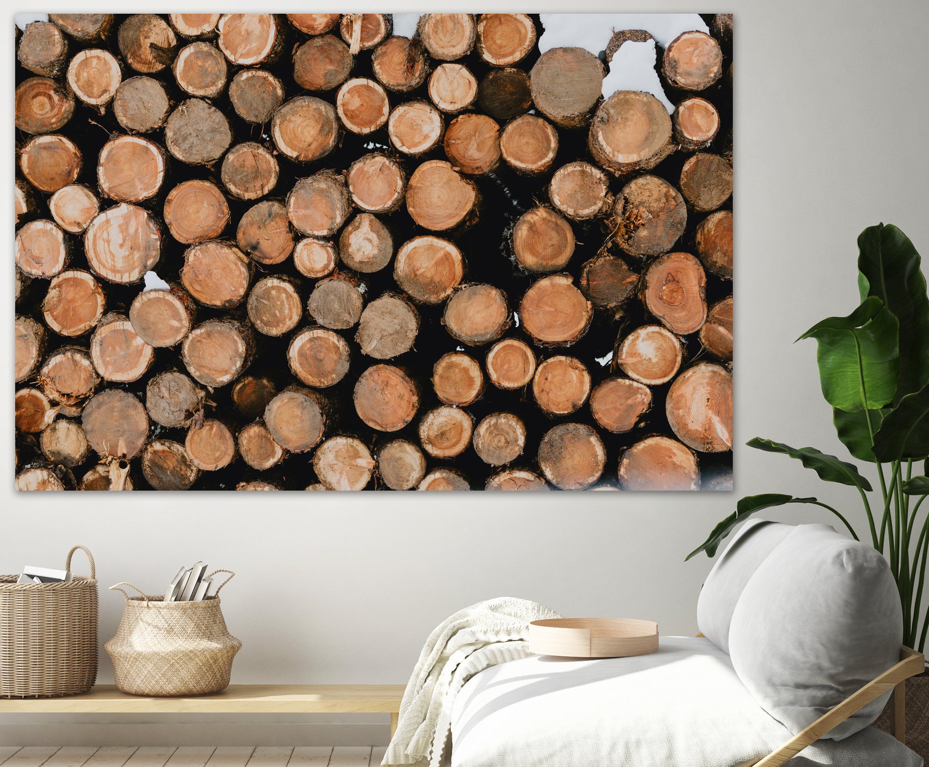 Stacked Timber Beauty by Javier Pardina on GIANT ART - 8192 photography