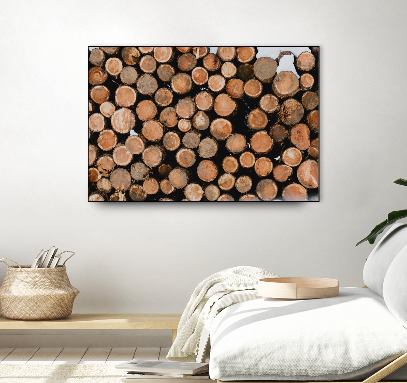 Stacked Timber Beauty by Javier Pardina on GIANT ART - 8192 photography