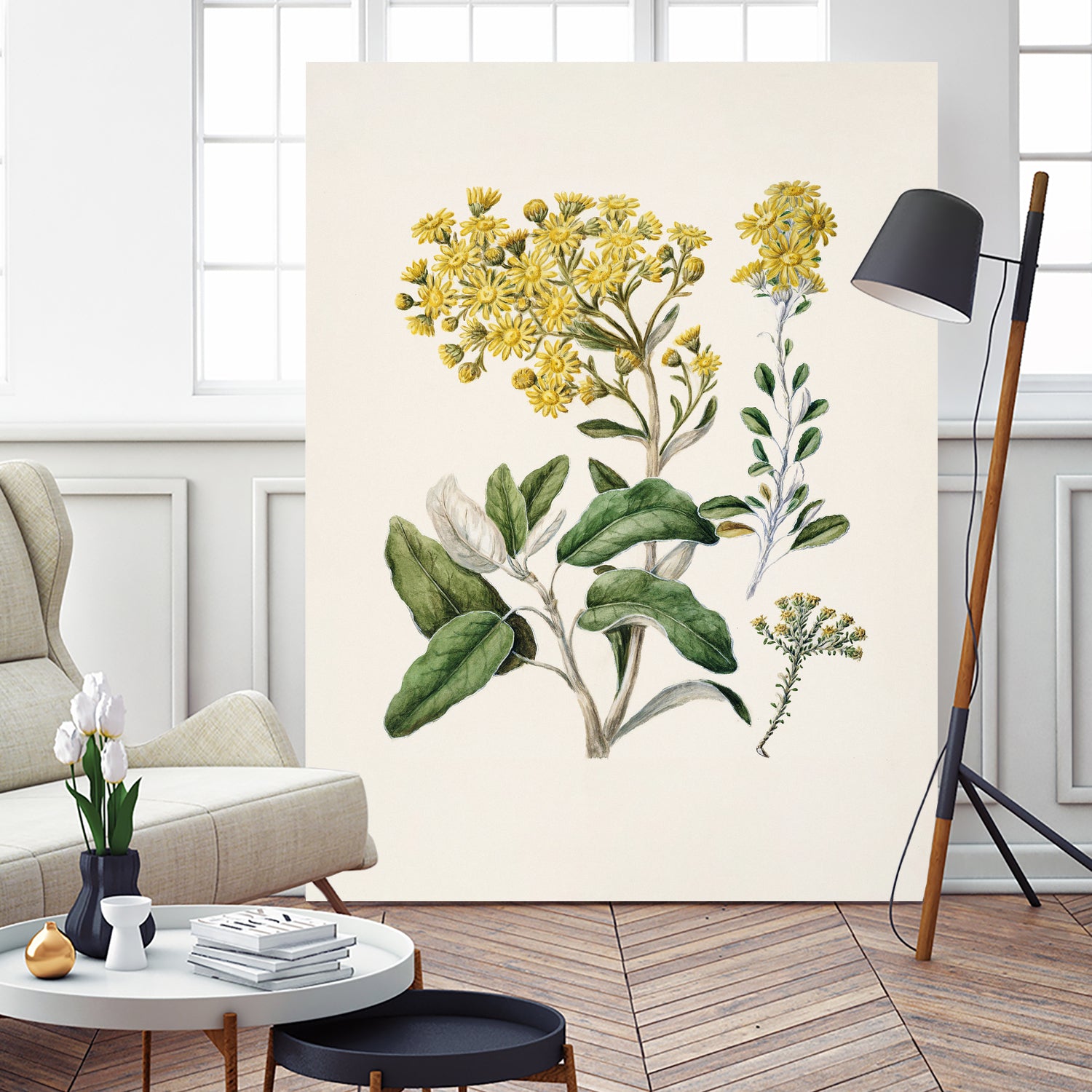 Daisy   Brachyglottis Drawn By Sarah Featon (1848a1927) by Sarah Featon on GIANT ART - vintage botanical flowers and plants vintage botanical