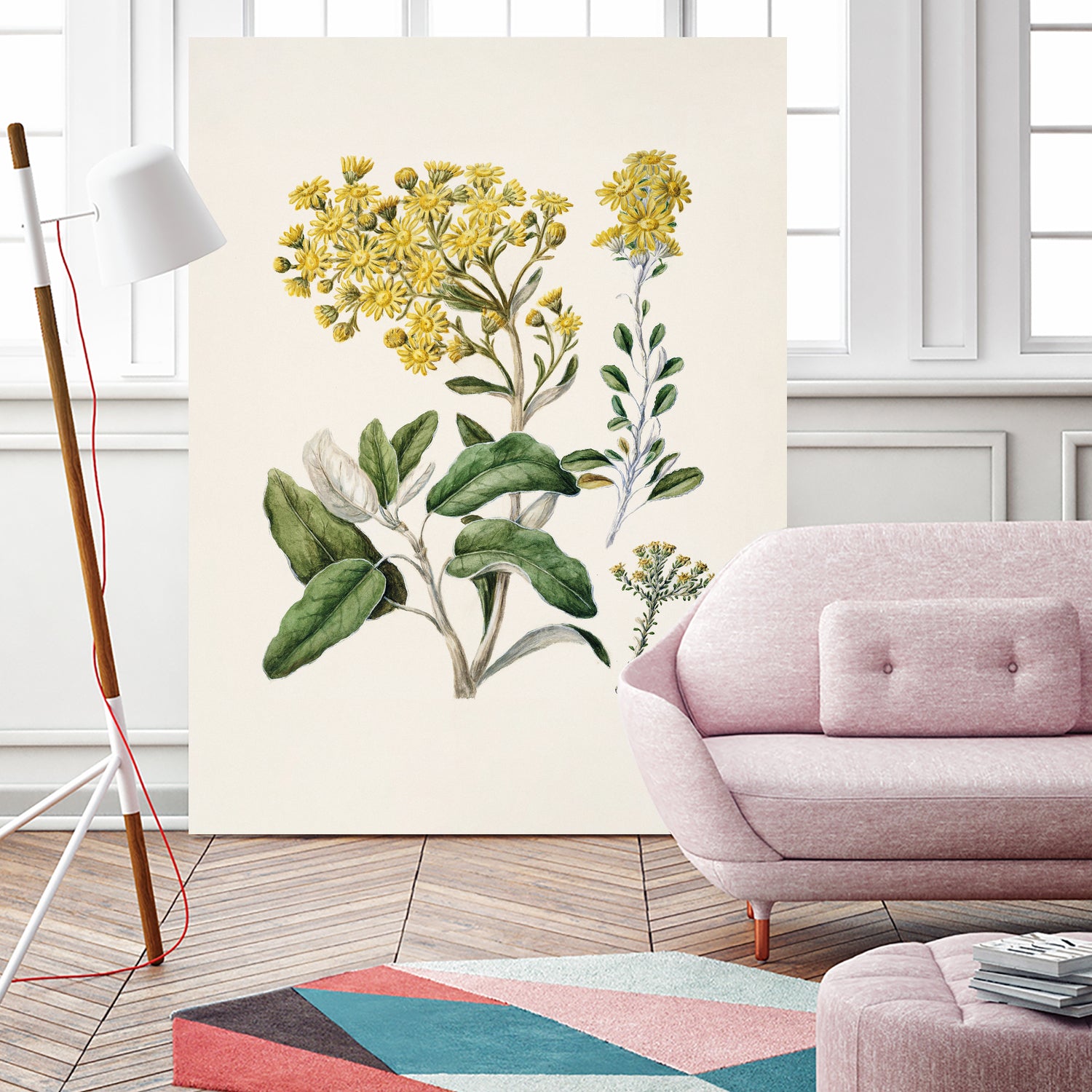 Daisy   Brachyglottis Drawn By Sarah Featon (1848a1927) by Sarah Featon on GIANT ART - vintage botanical flowers and plants vintage botanical