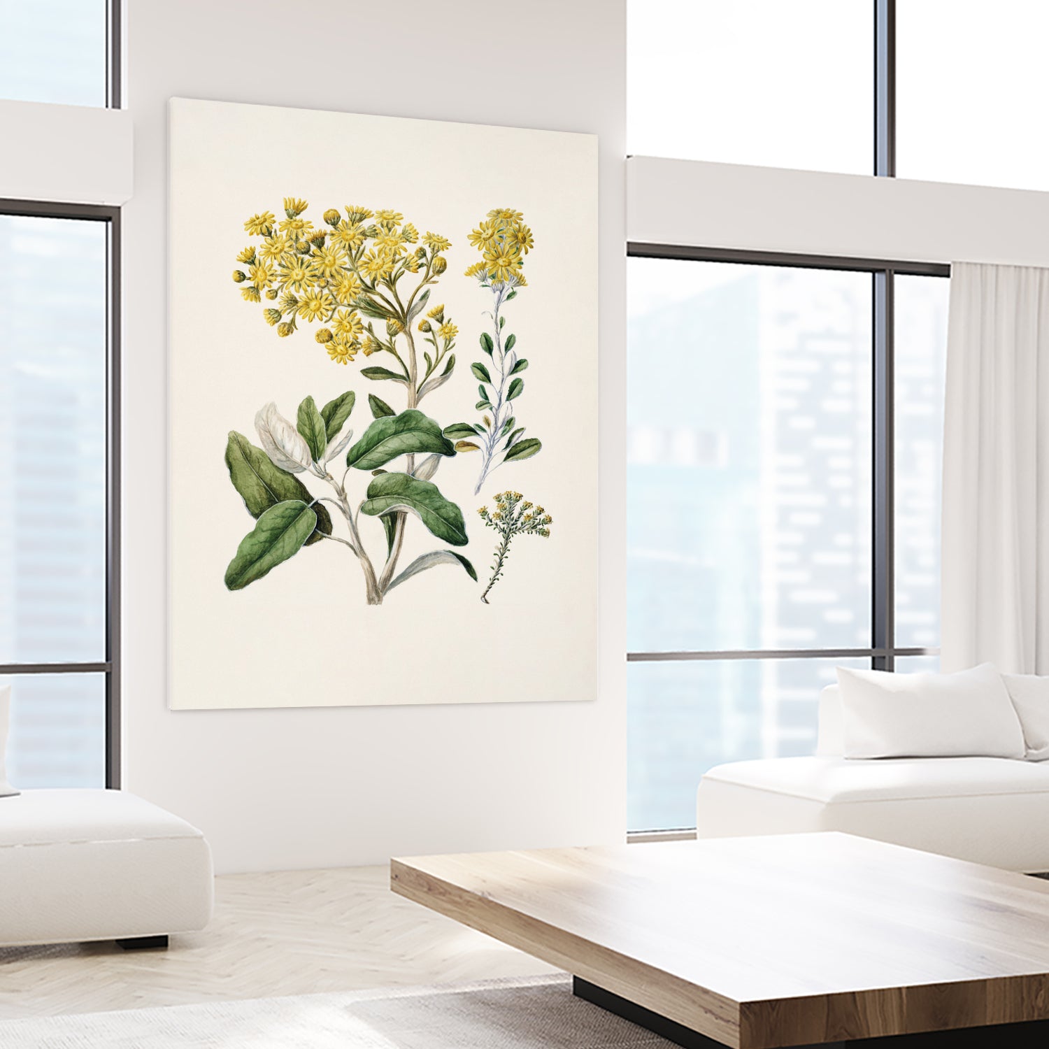 Daisy   Brachyglottis Drawn By Sarah Featon (1848a1927) by Sarah Featon on GIANT ART - vintage botanical flowers and plants vintage botanical