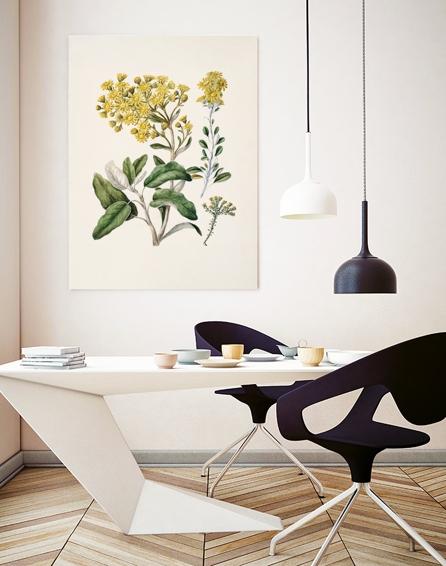 Daisy   Brachyglottis Drawn By Sarah Featon (1848a1927) by Sarah Featon on GIANT ART - vintage botanical flowers and plants vintage botanical