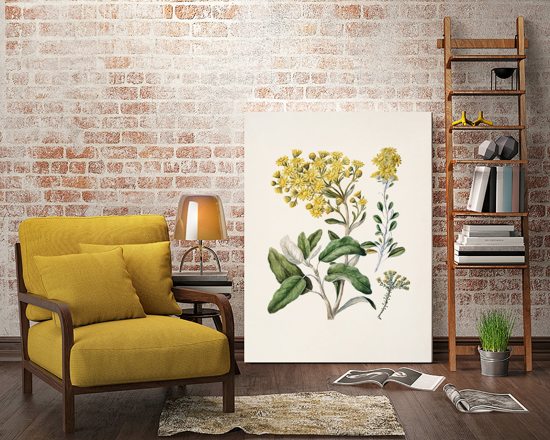 Daisy   Brachyglottis Drawn By Sarah Featon (1848a1927) by Sarah Featon on GIANT ART - vintage botanical flowers and plants vintage botanical