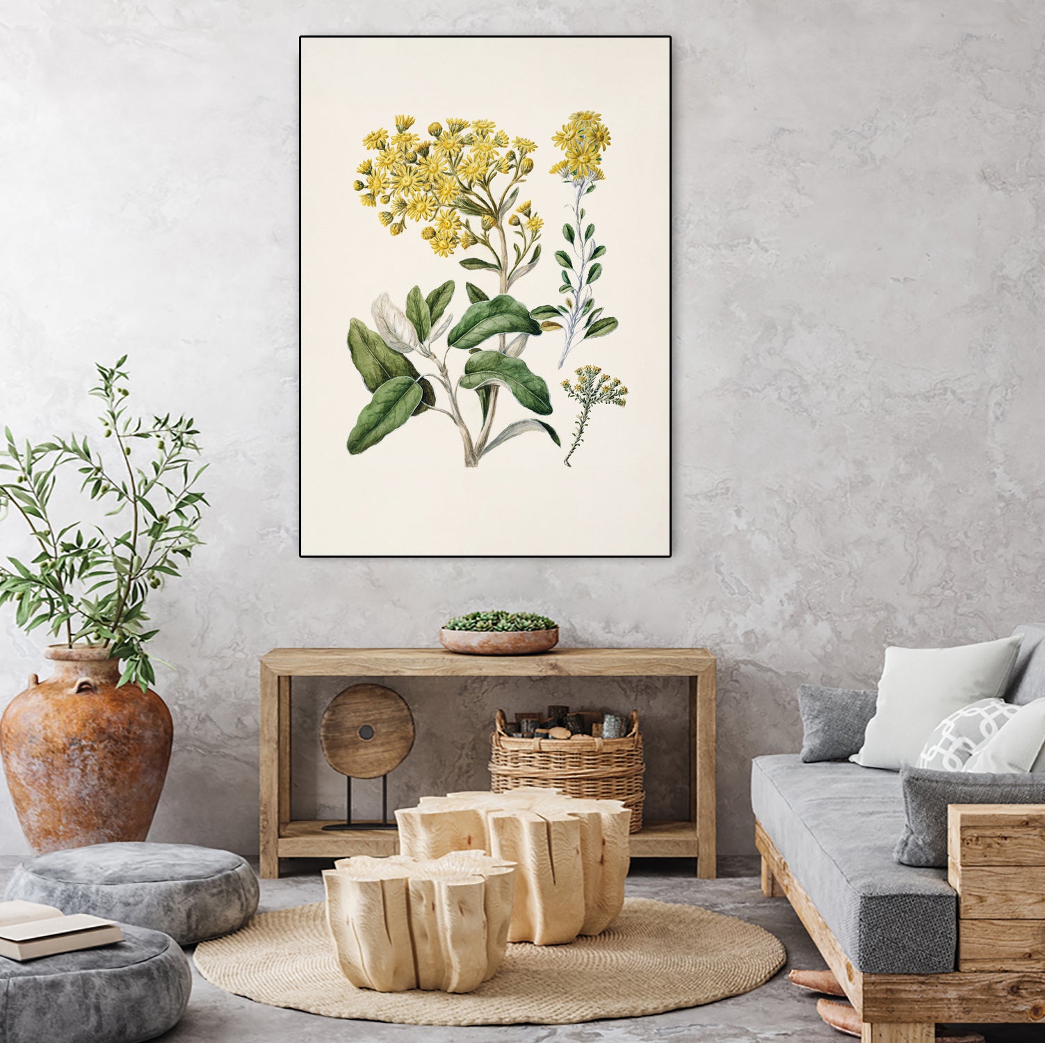 Daisy   Brachyglottis Drawn By Sarah Featon (1848a1927) by Sarah Featon on GIANT ART - vintage botanical flowers and plants vintage botanical