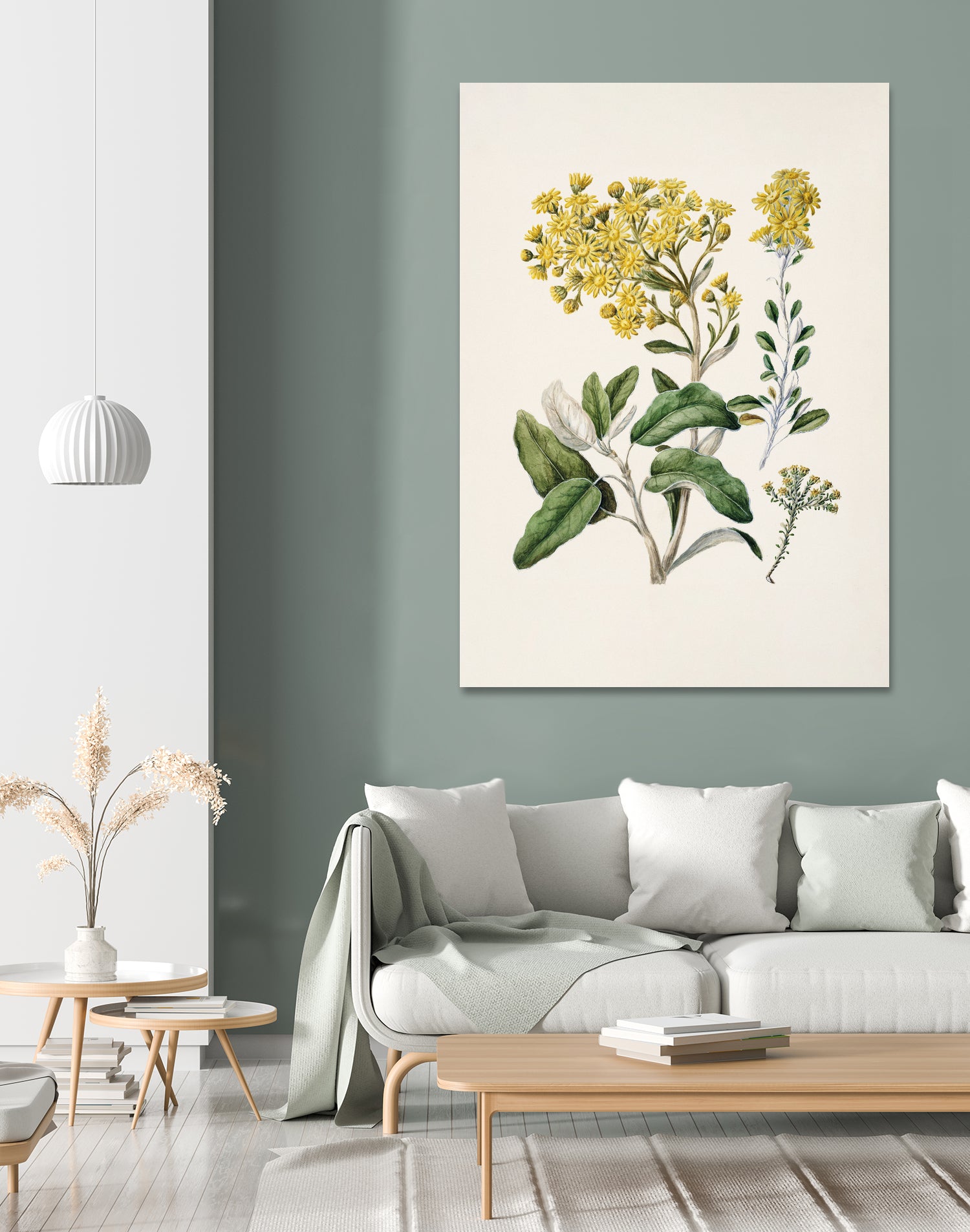 Daisy   Brachyglottis Drawn By Sarah Featon (1848a1927) by Sarah Featon on GIANT ART - vintage botanical flowers and plants vintage botanical