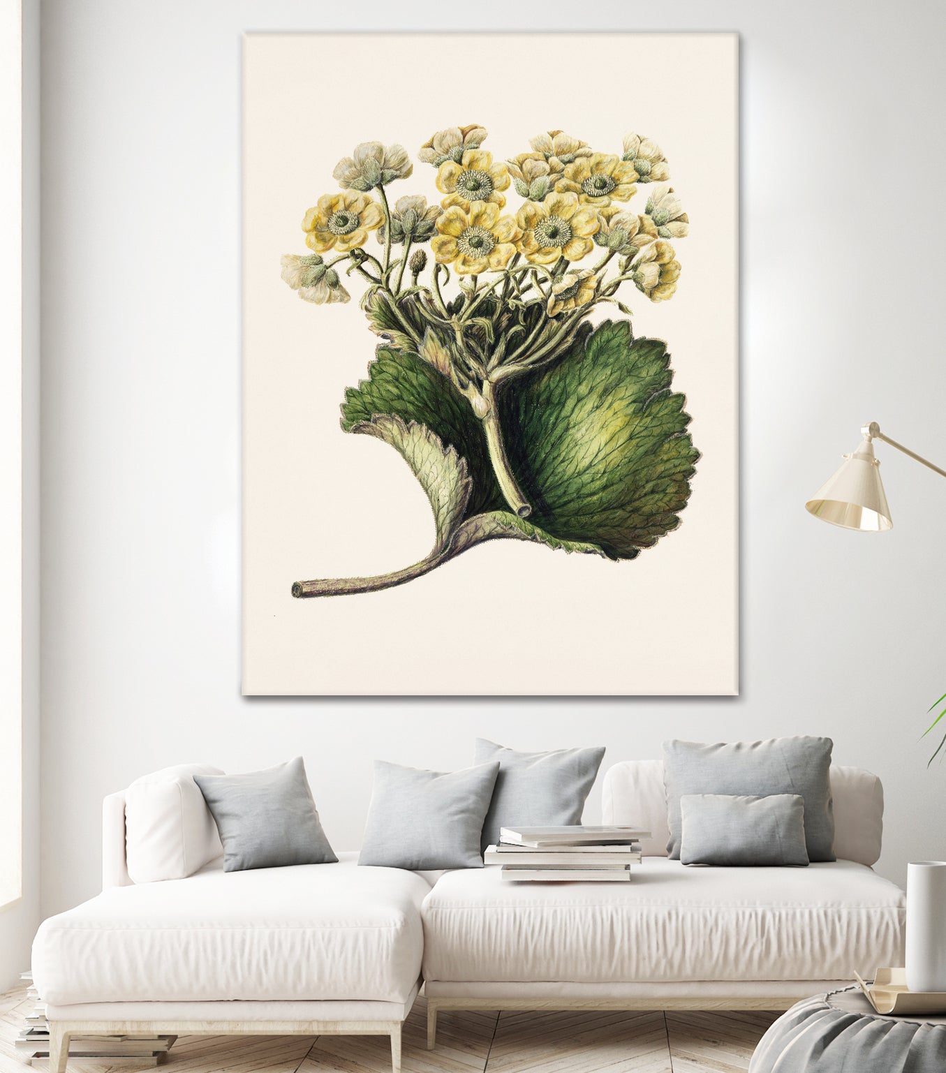 Korikor Drawn By Sarah Featon (1848a€“1927 by Sarah Featon on GIANT ART - flowers and plants vintage botanical