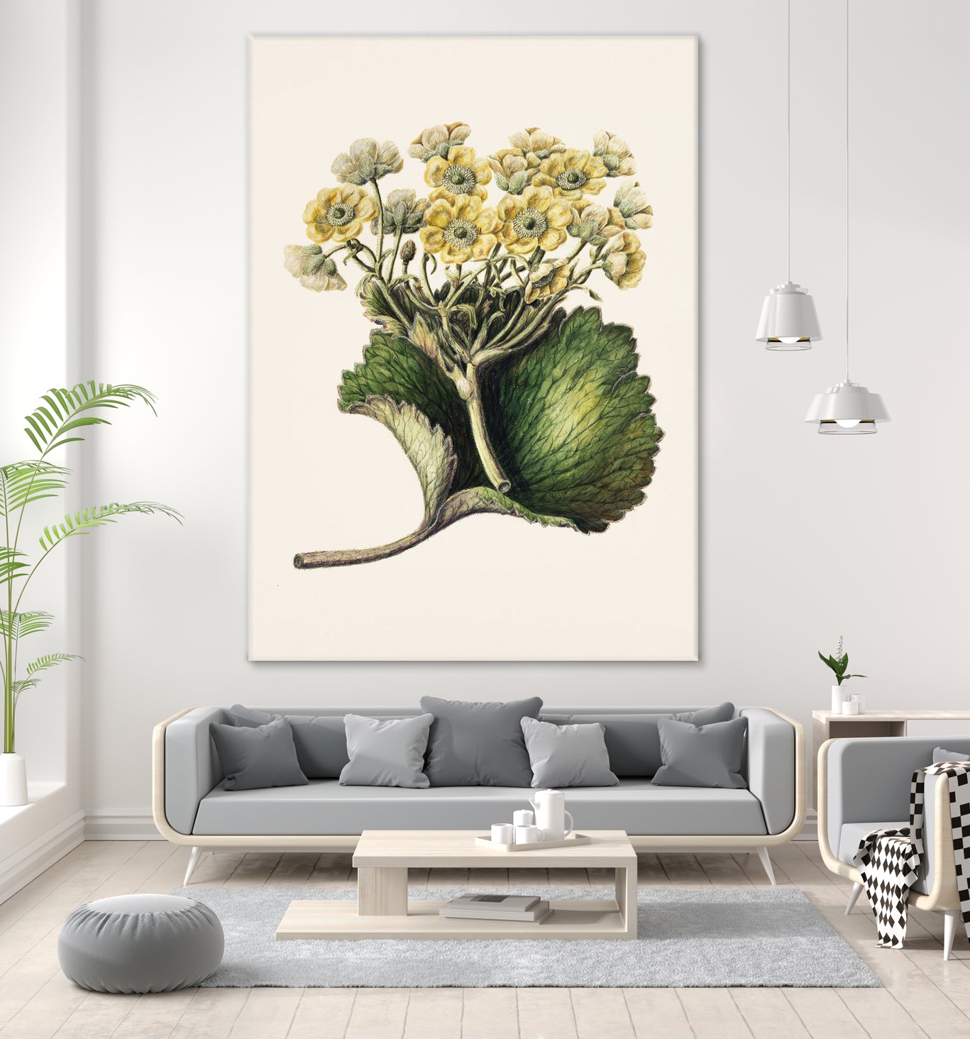 Korikor Drawn By Sarah Featon (1848a€“1927 by Sarah Featon on GIANT ART - flowers and plants vintage botanical